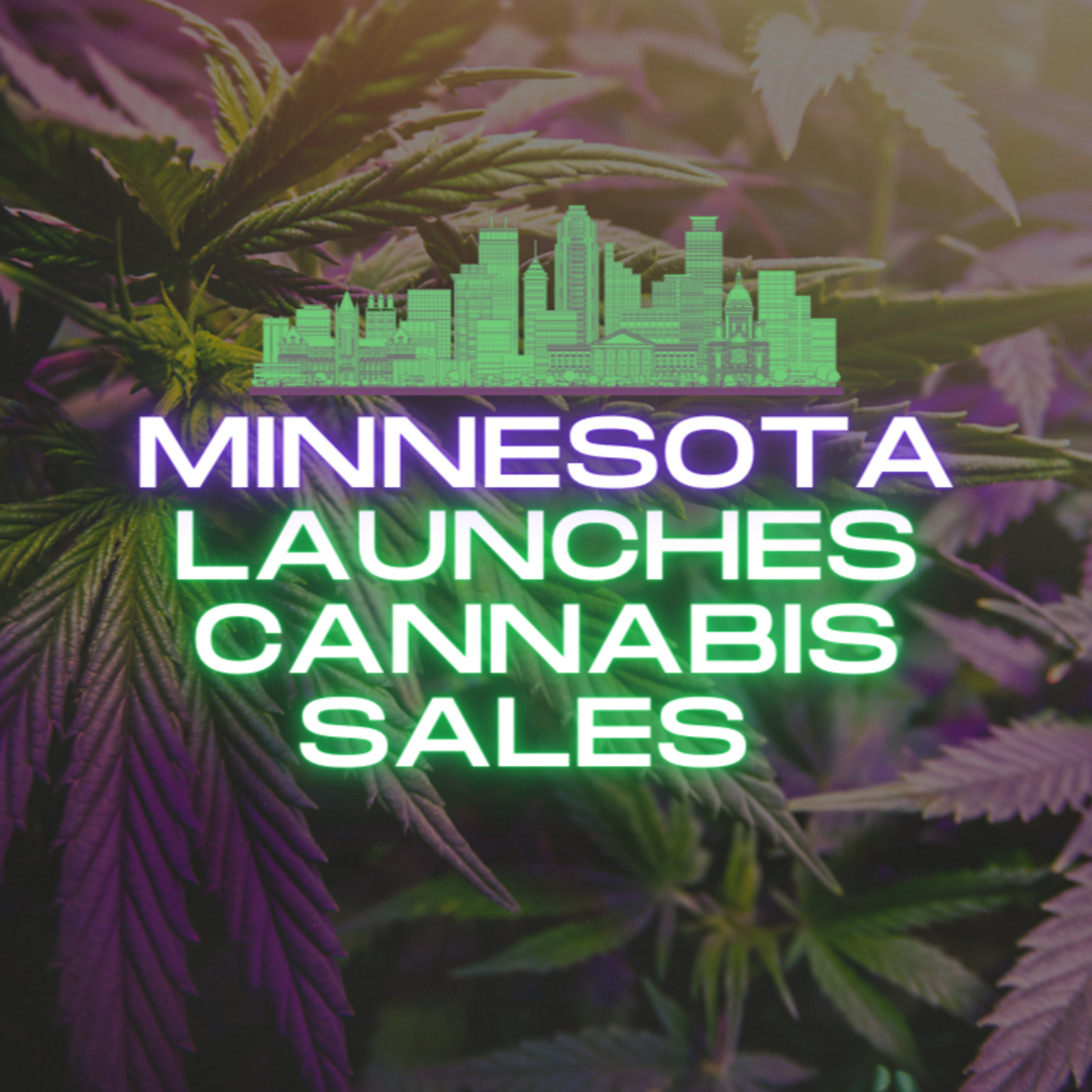 First Cannabis Dispensary Opens In Minnesota! episode artwork
