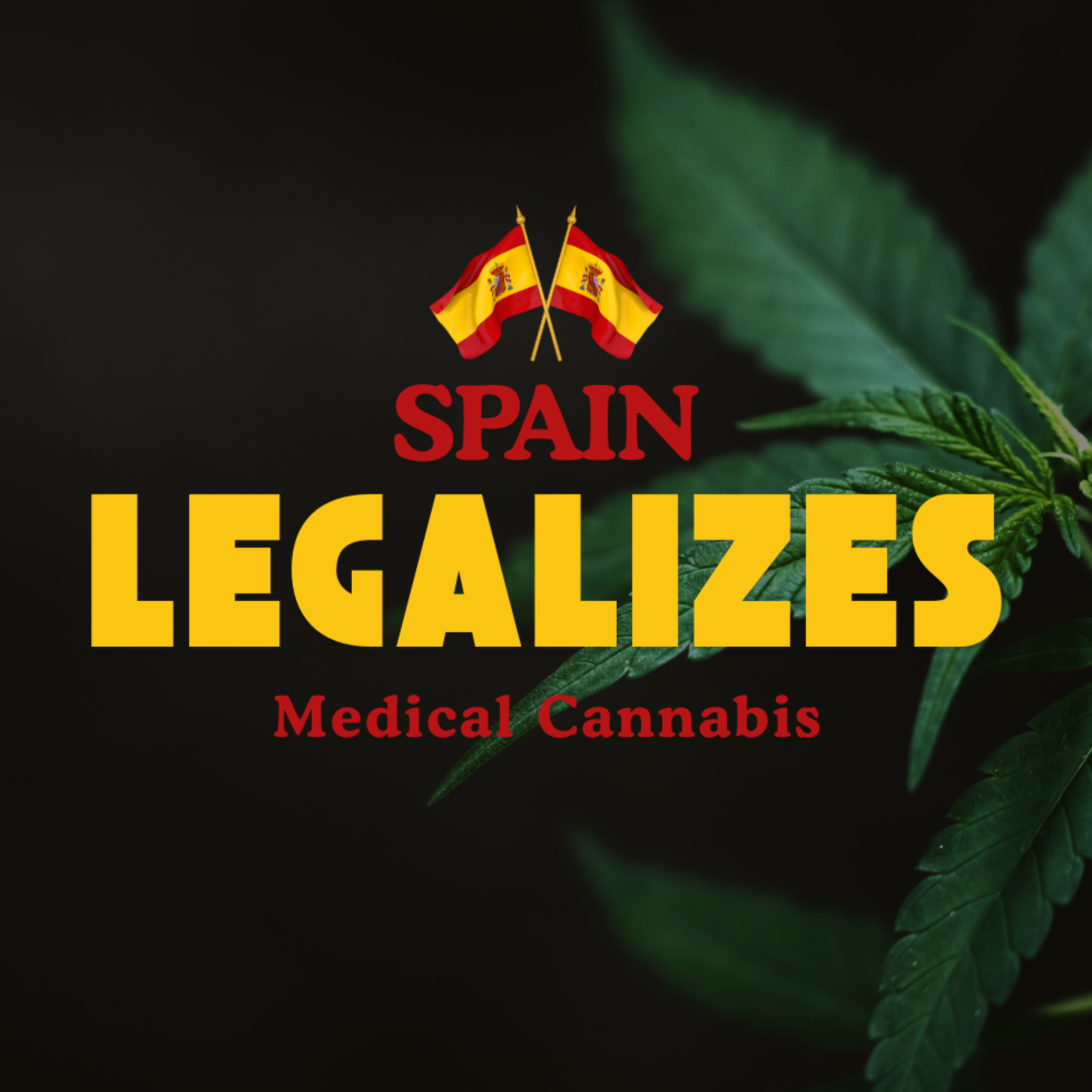 Spain Legalizes Medical Cannabis Use in Health Care System | *By Royal Decree* episode artwork