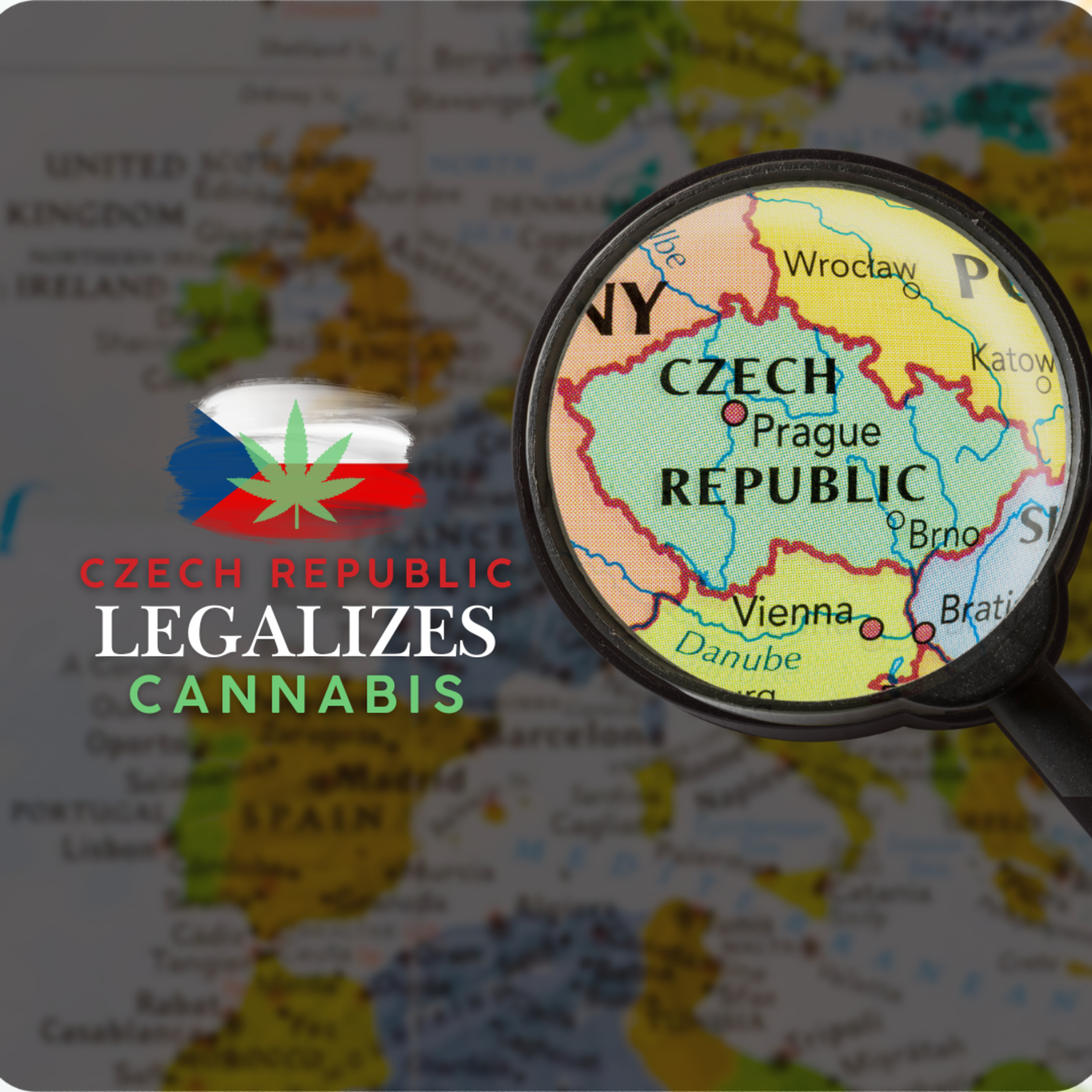 Czech Republic Legalizes Cannabis & Psilocybin | Effective January 2026 episode artwork