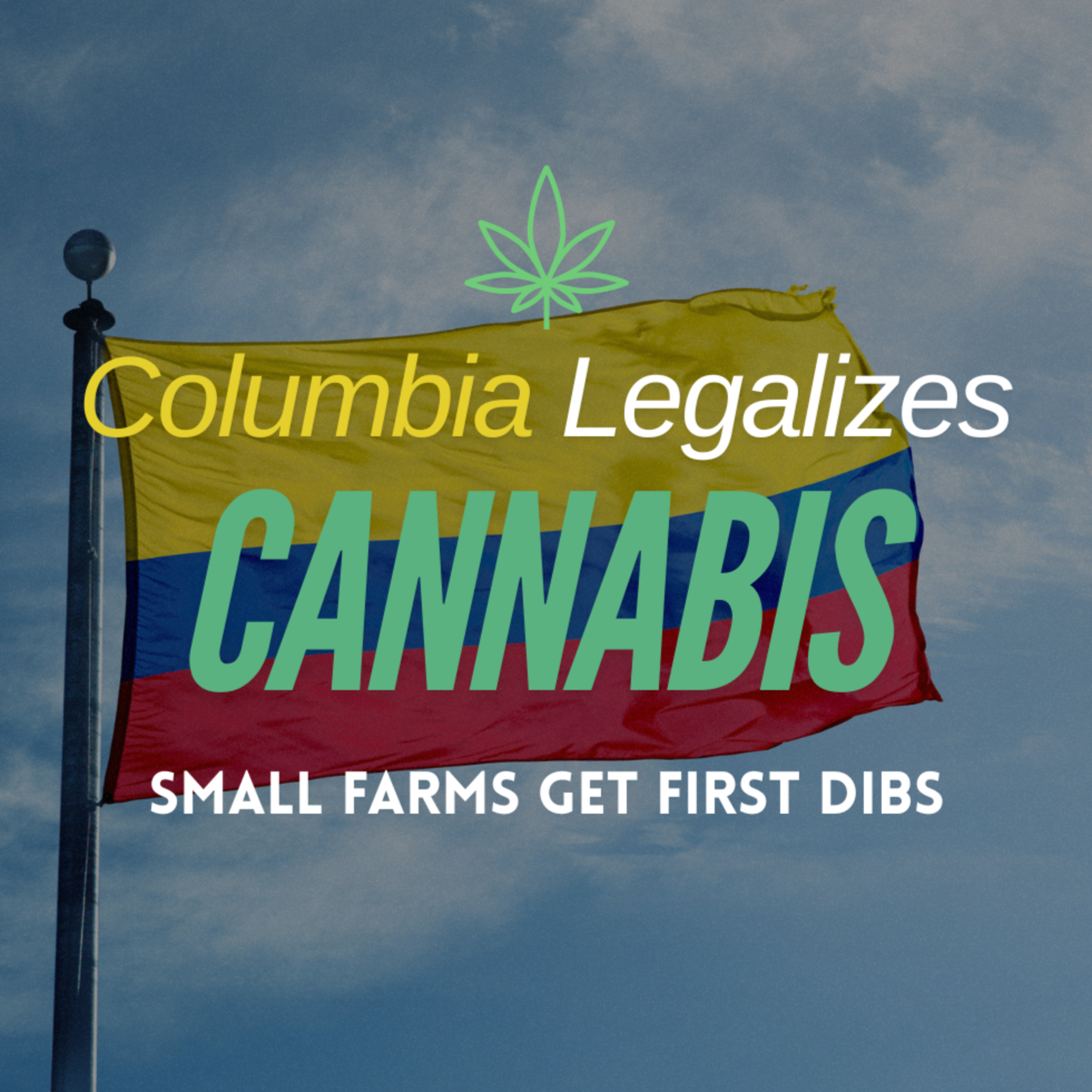 🚨 Columbia Legalizes Cannabis | Small Farms Get First Dibs