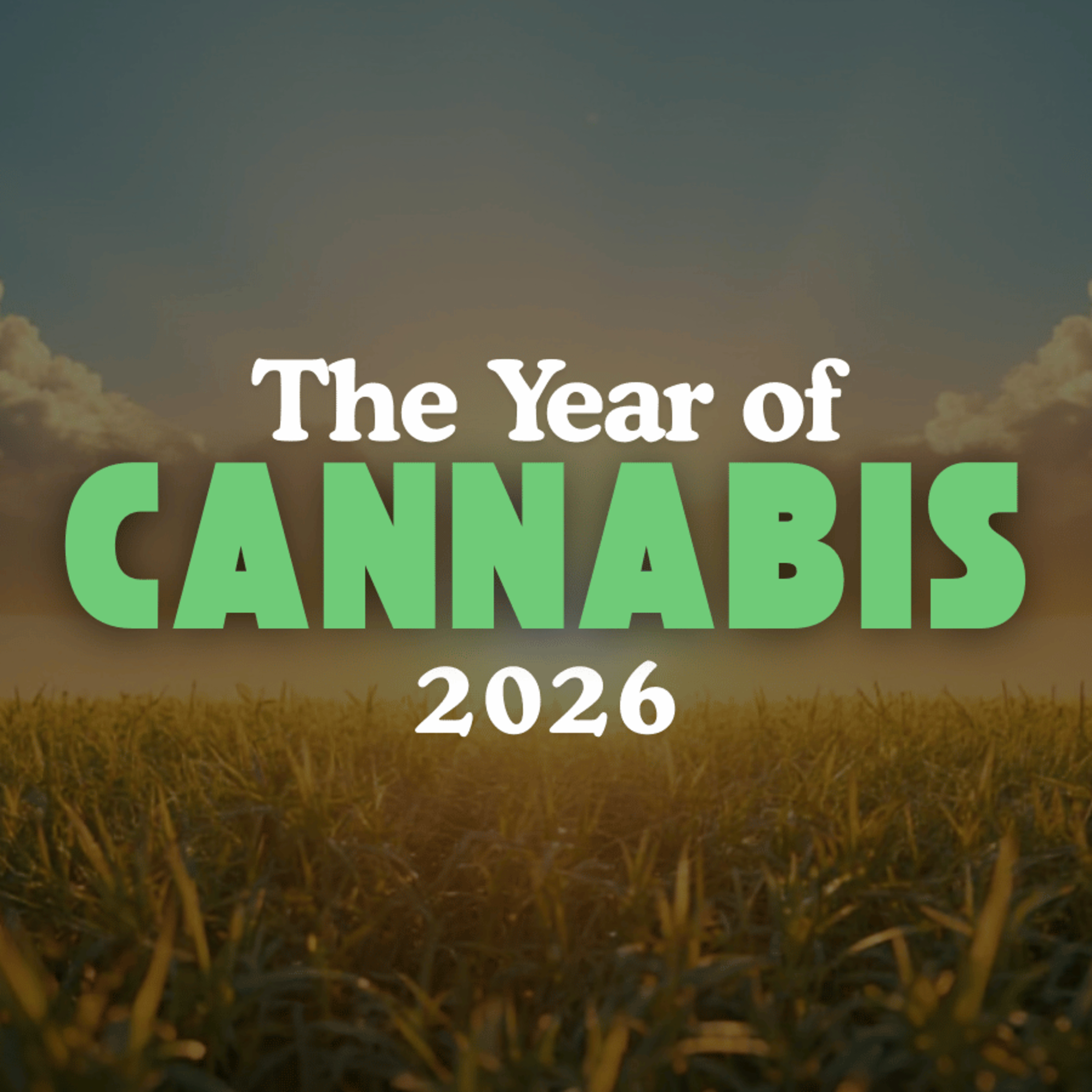 2026: The Year Of Cannabis episode artwork