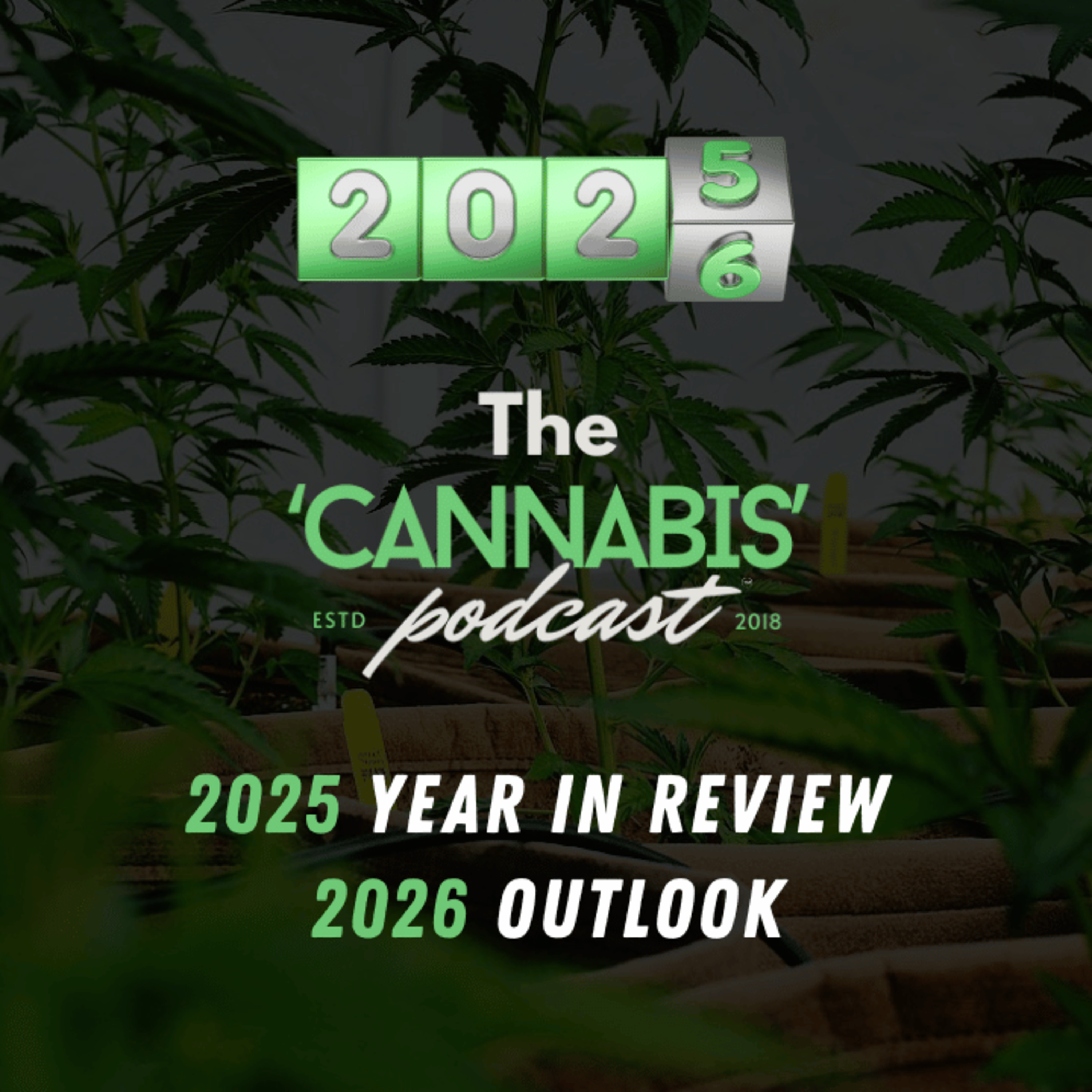  2025 Year In Review & 2026 Outlook episode artwork