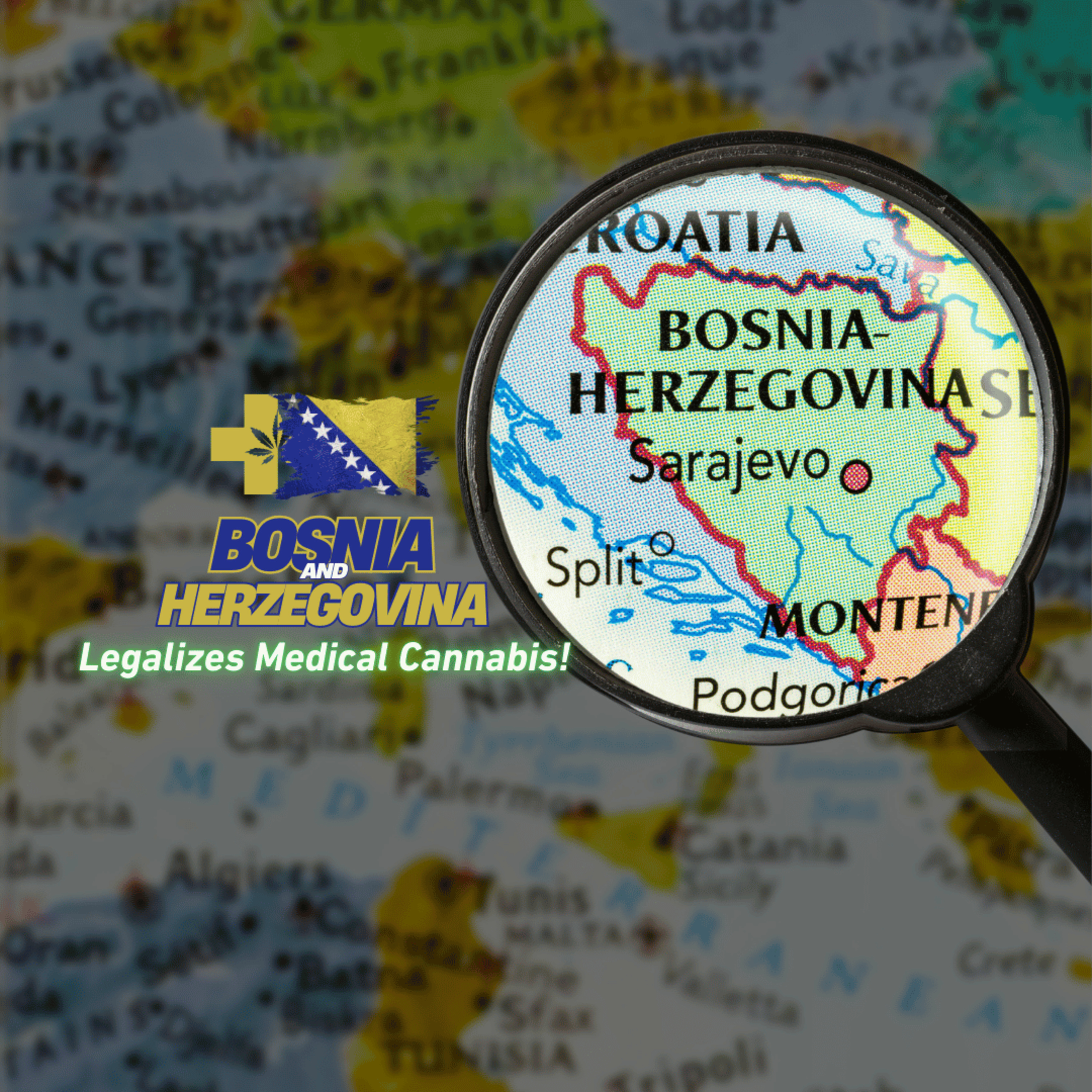 🚨 Bosnia and Herzegovina Legalizes Medical Cannabis episode artwork