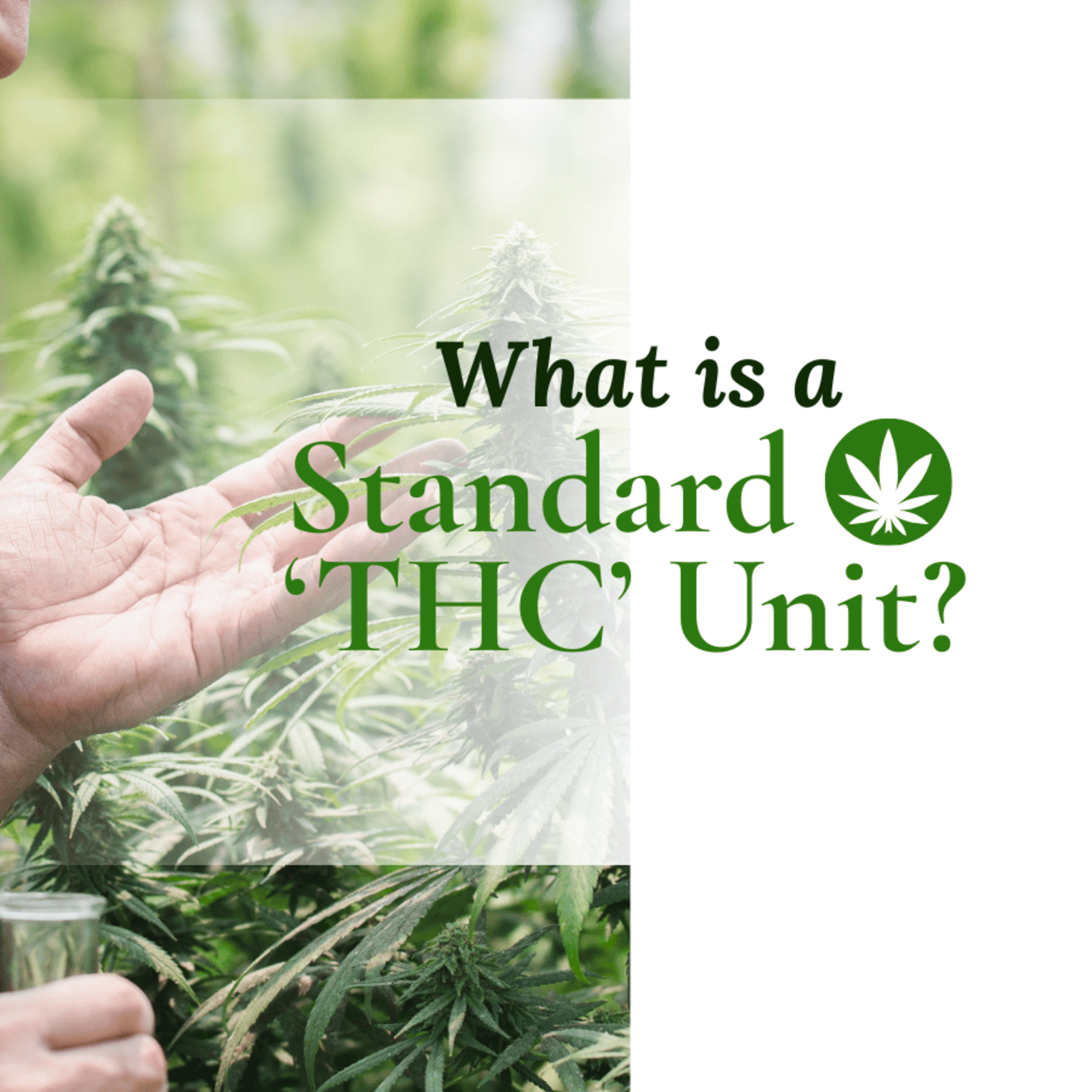 What Is Considered A 'Standard Joint Unit' Or Standard 'THC' Unit?