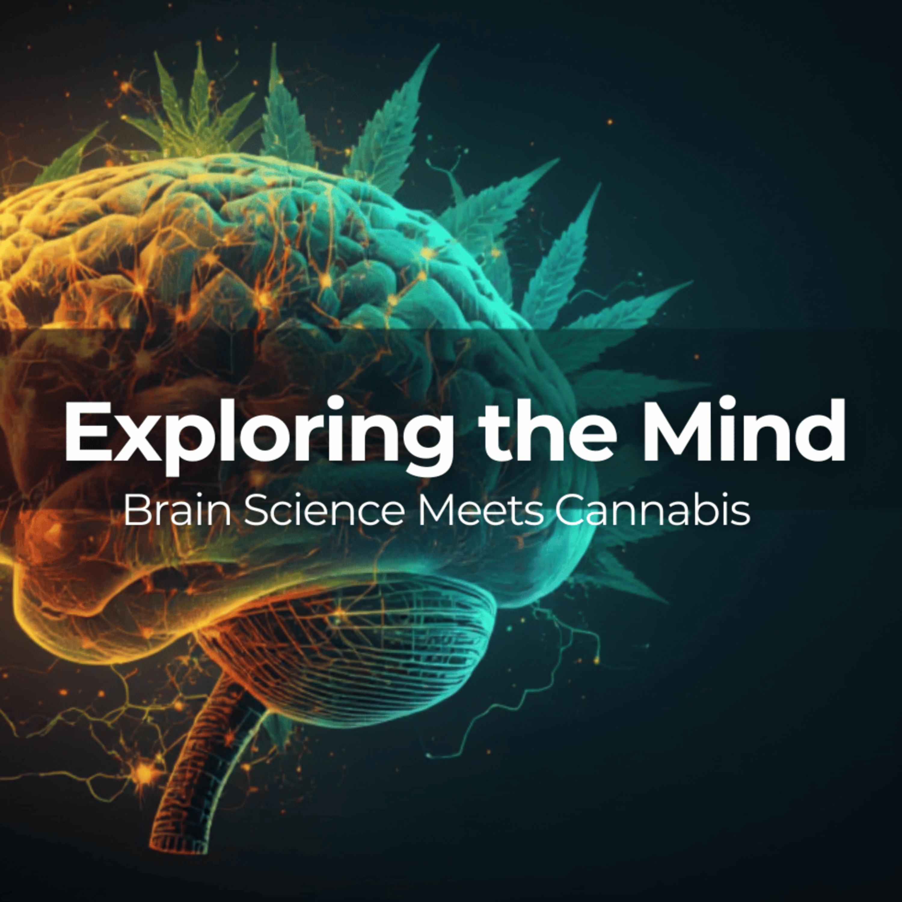 Cannabis Use Associated With Higher Brain Volume & Better Cognitive Function | NEW STUDY episode artwork