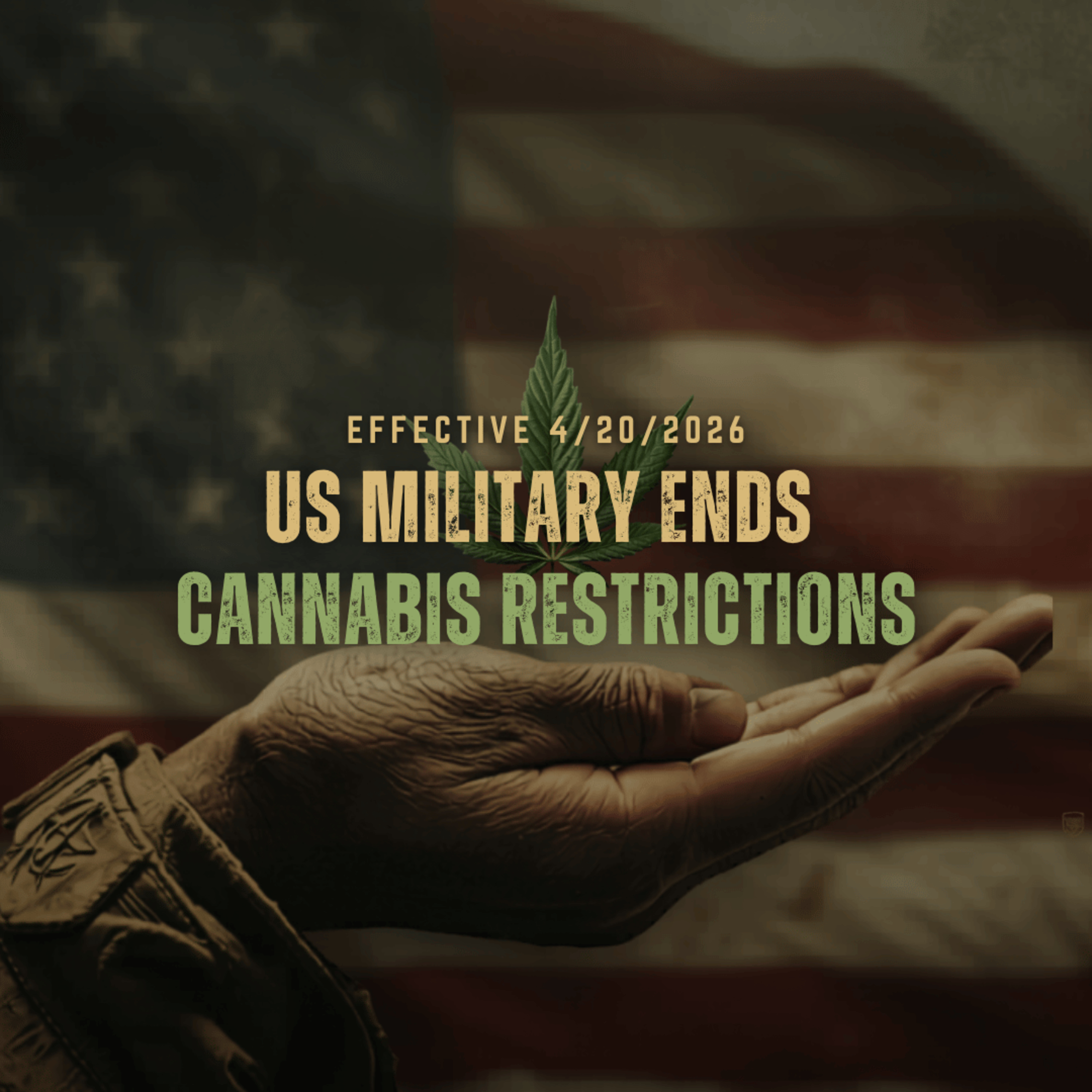 US Military Ends Cannabis Restrictions | Why Now? episode artwork