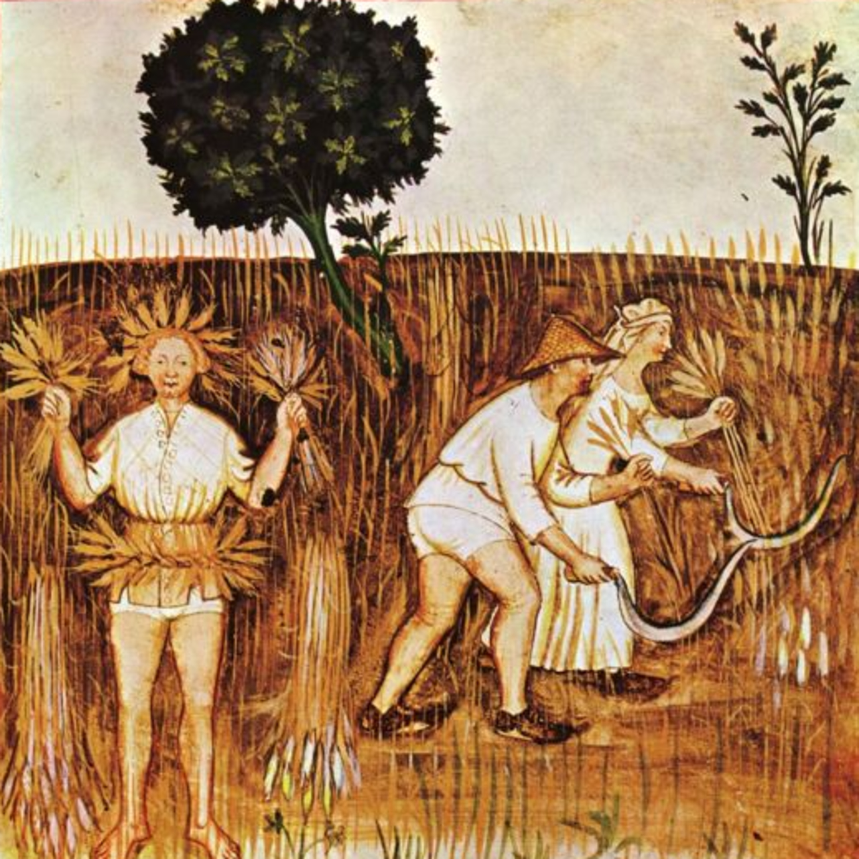 MATTHEW Mt 13:24-43 AND THE GUYS episode artwork