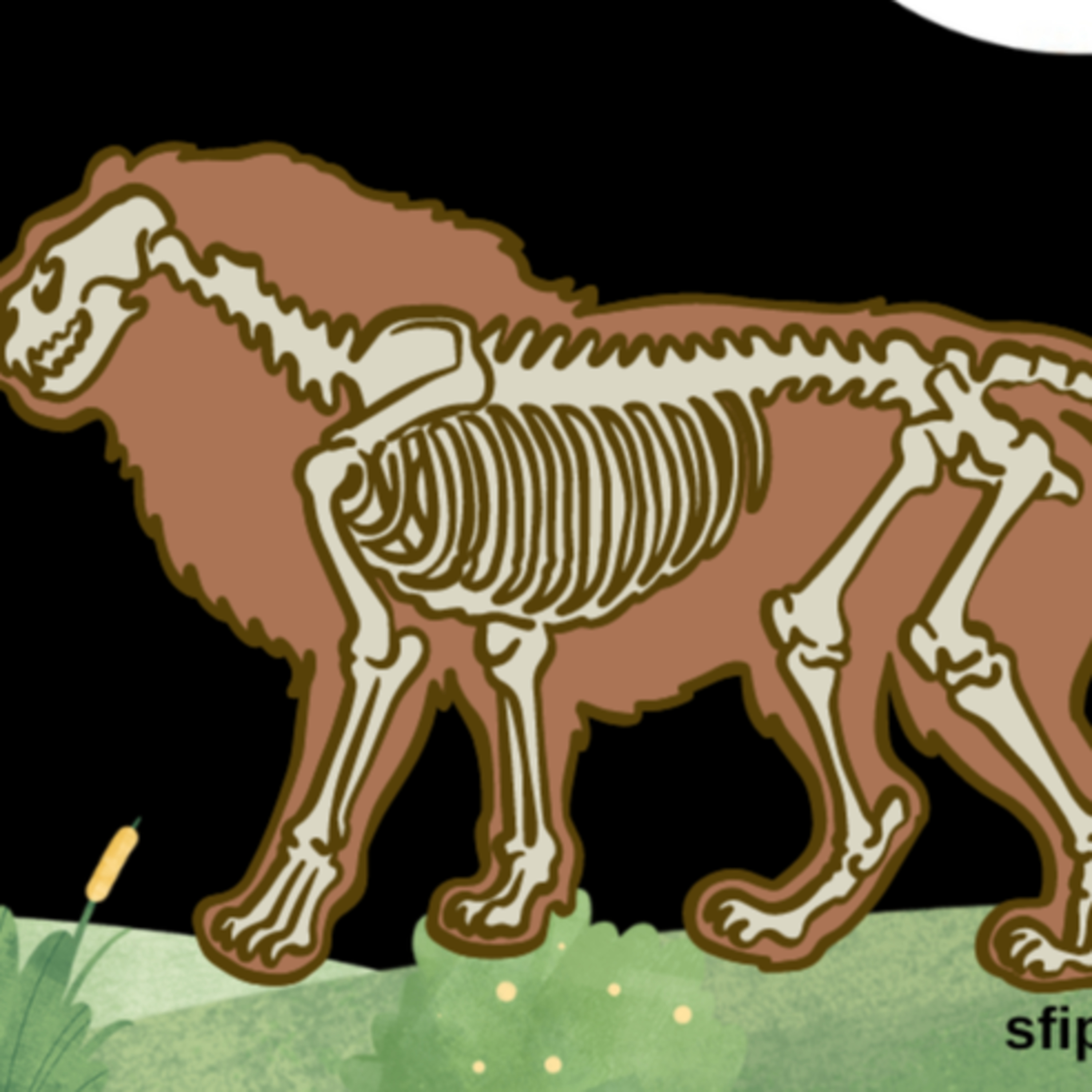 261 - Vikram-Betaal - Build-a-Beast