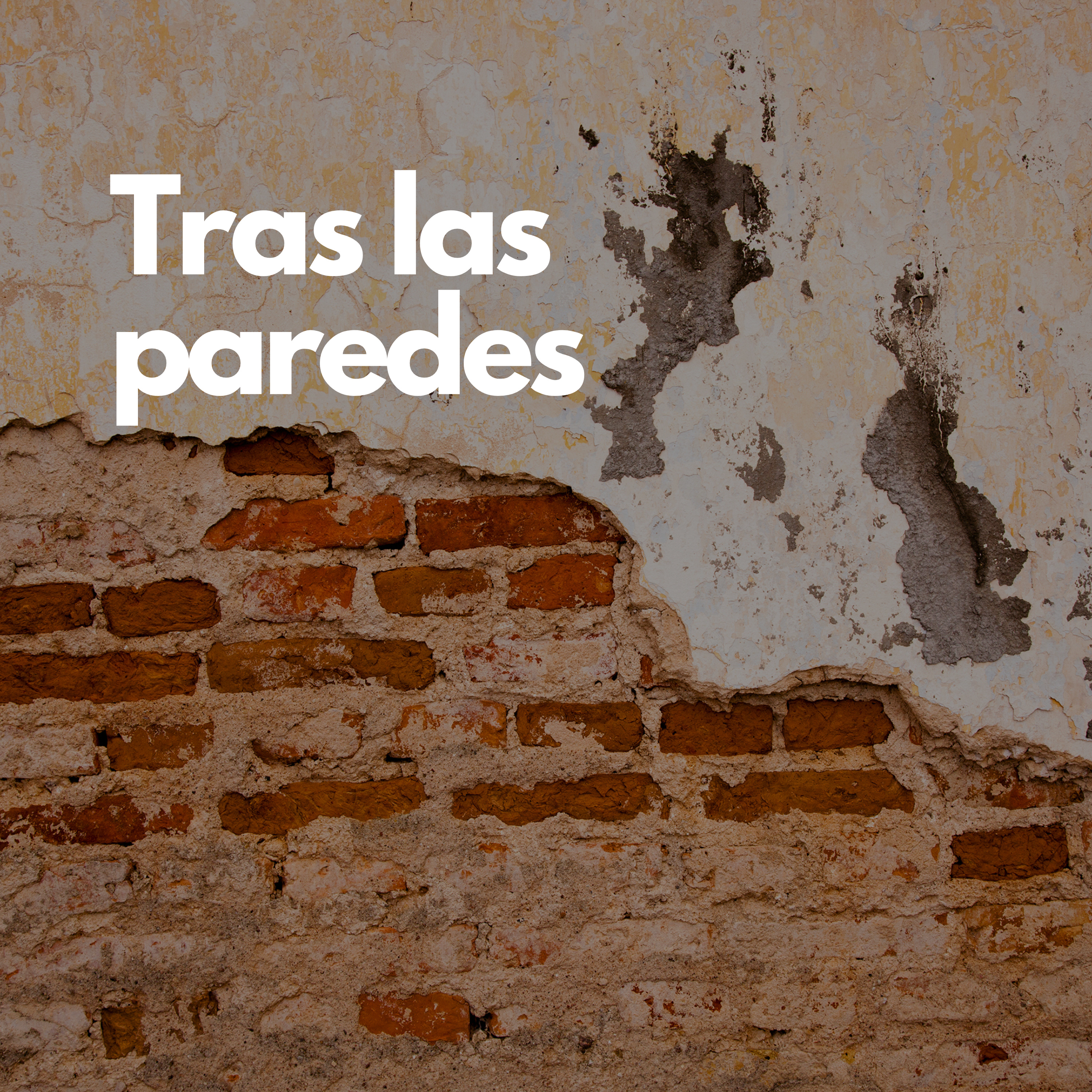 Tras las paredes episode artwork