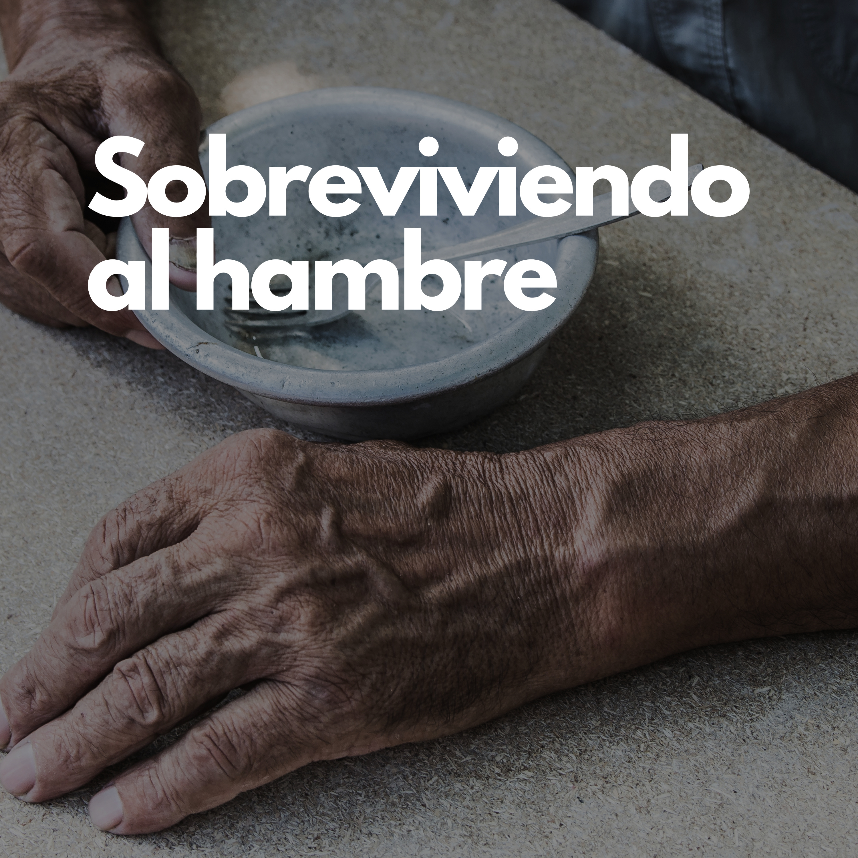 Sobreviviendo al hambre episode artwork
