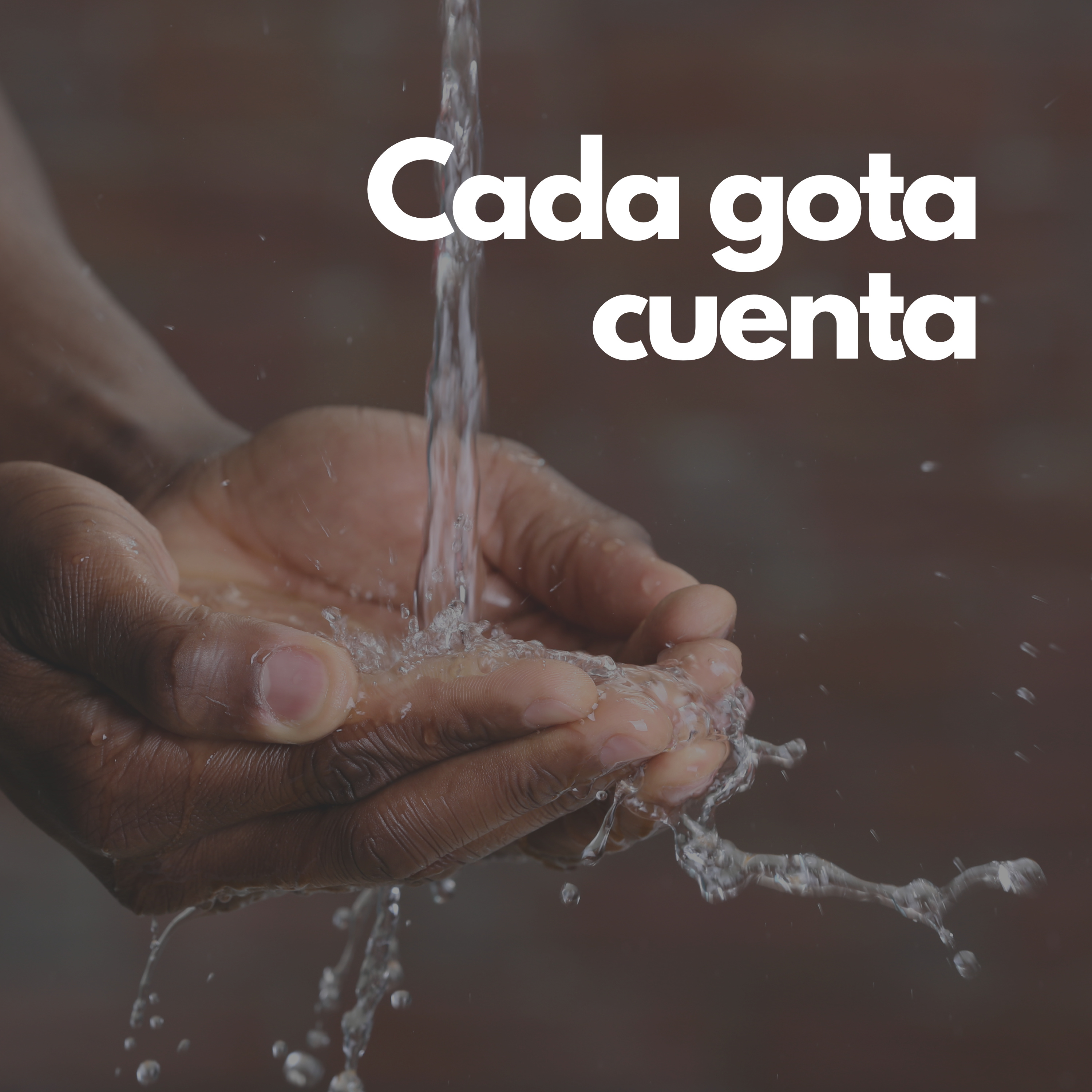 Vidas Cotidianas