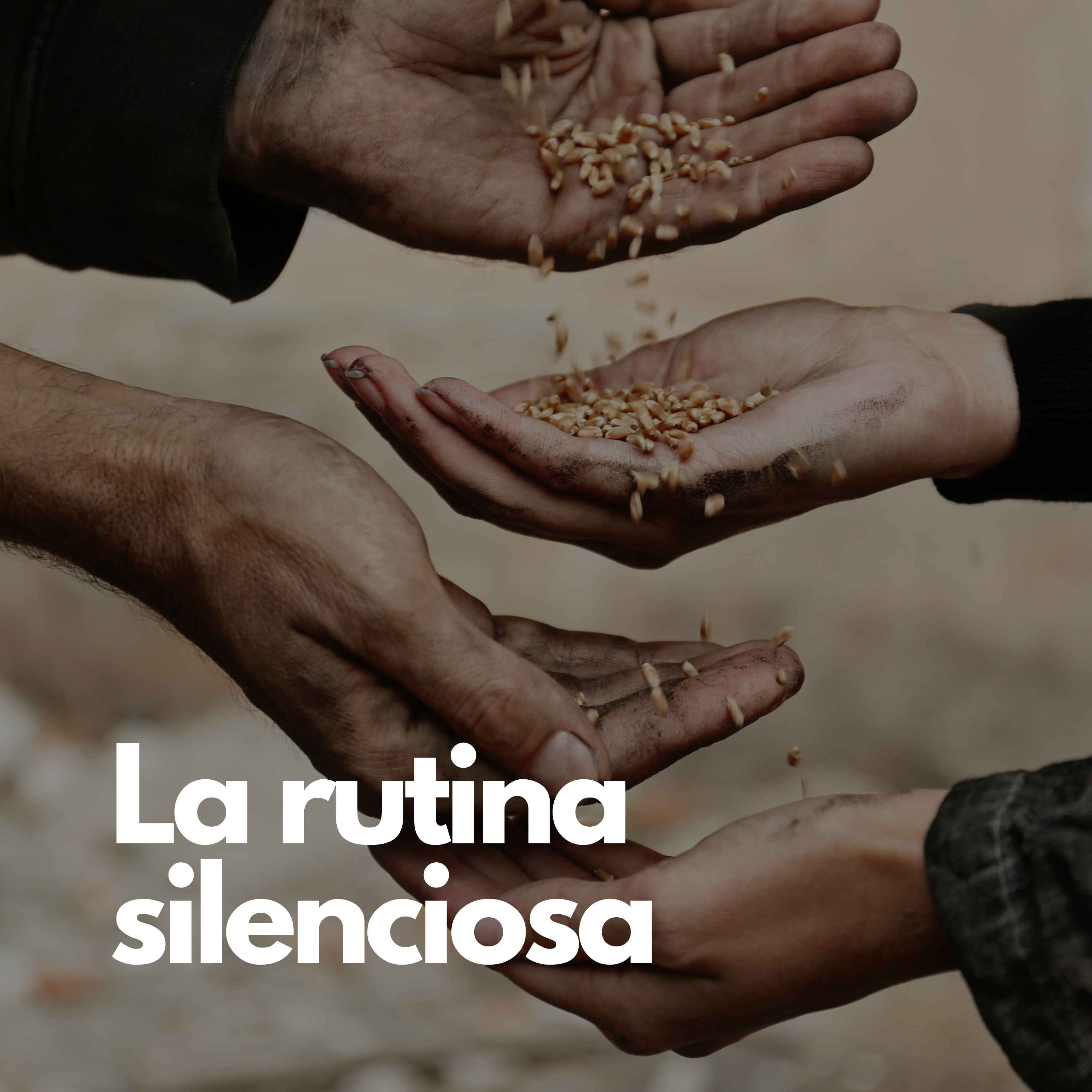 La rutina silenciosa episode artwork