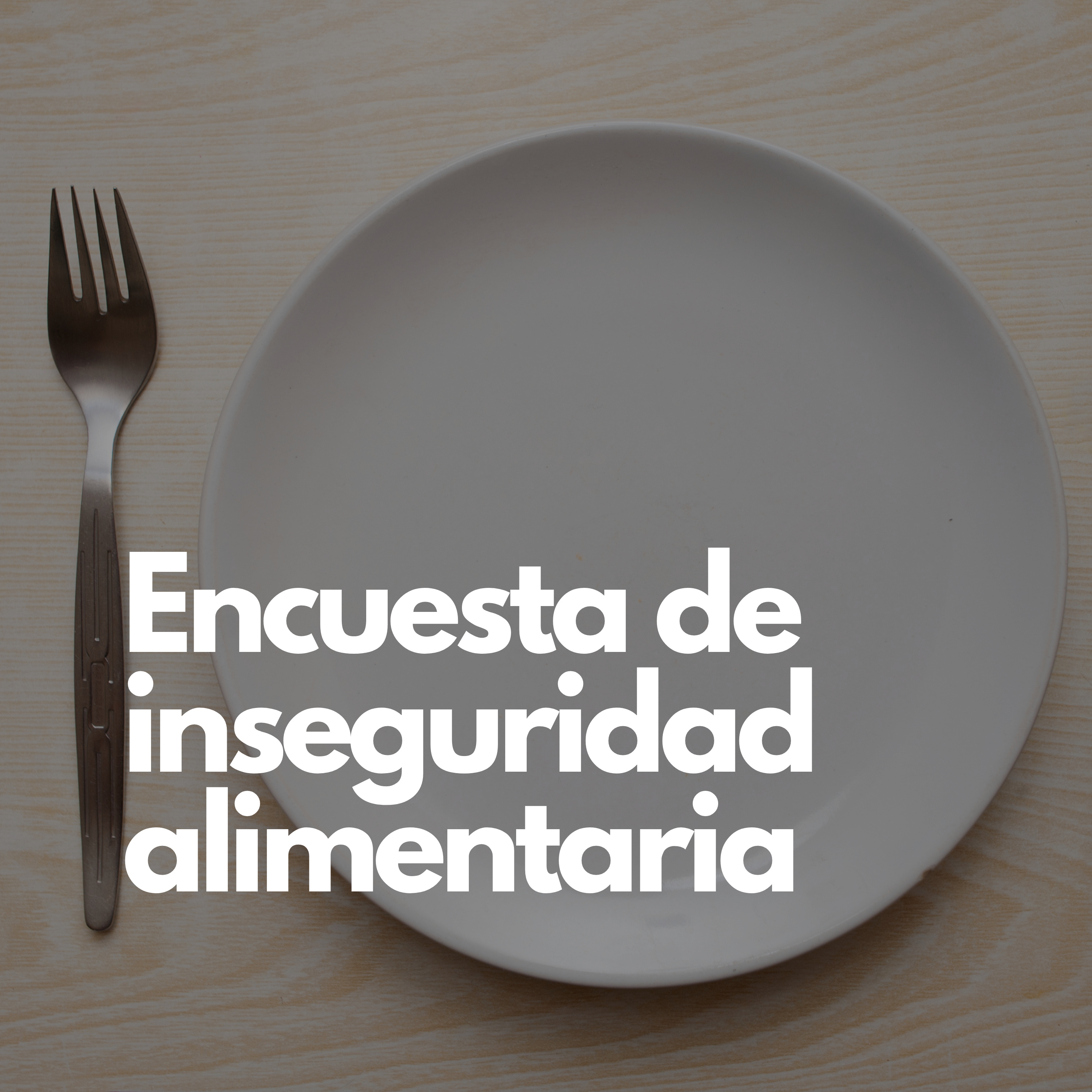 Encuesta de inseguridad alimentaria episode artwork