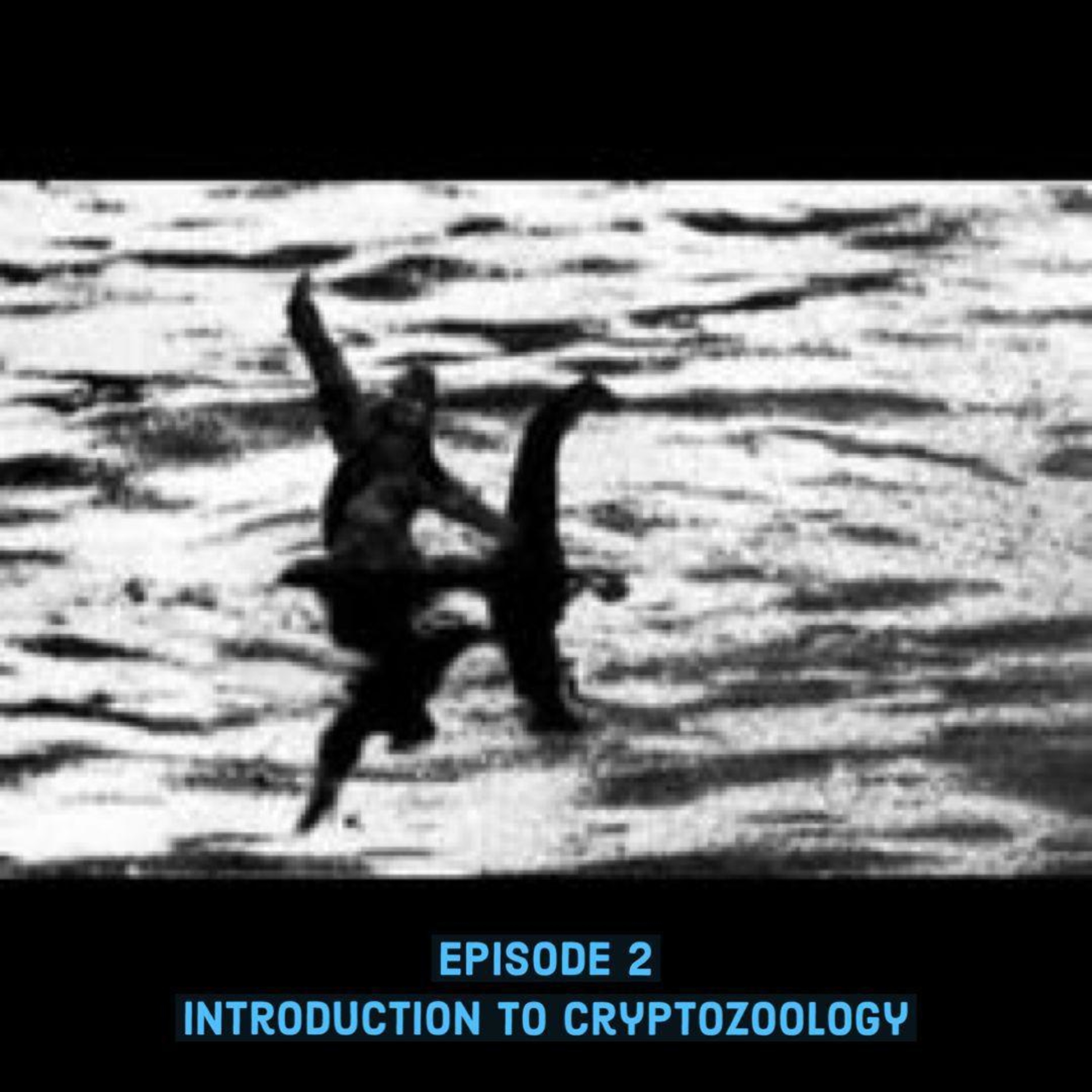 Introduction Into Cryptozoology Introduction Into Cryptozoology