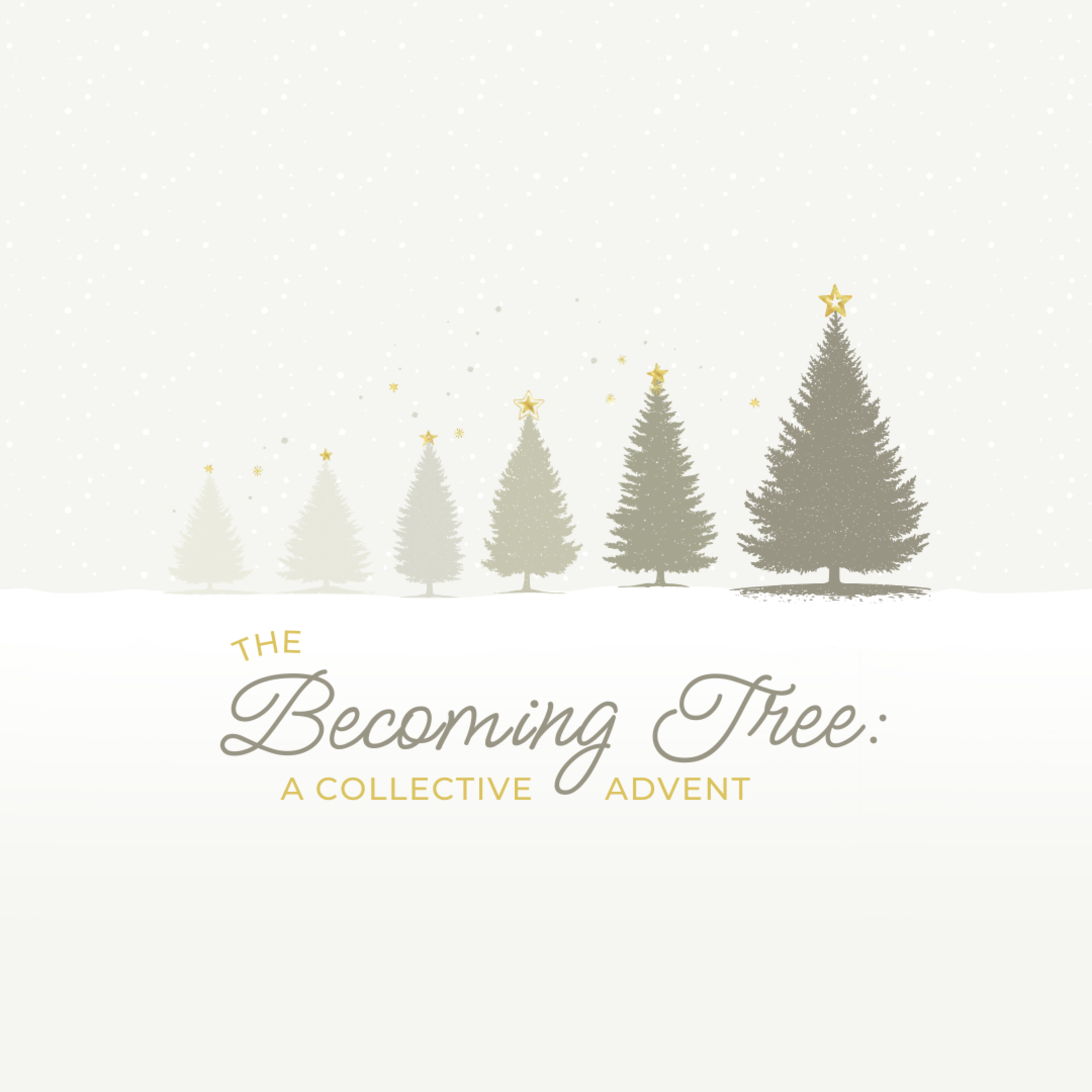 November 30, 2025: Advent, Week 1: Hope