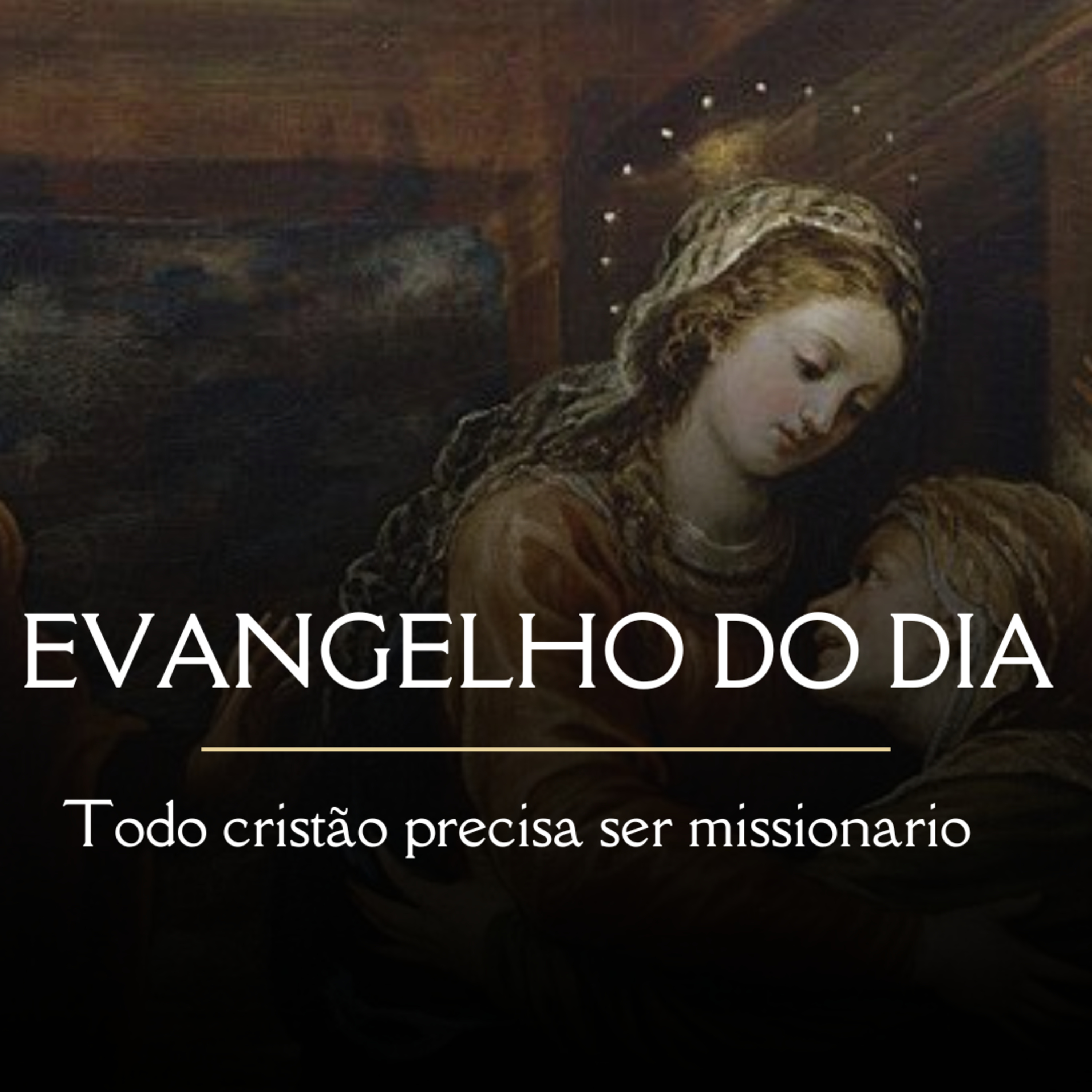 Todo cristão é chamado a ser um missionário | Evangelho do dia - 31/05/23 episode artwork