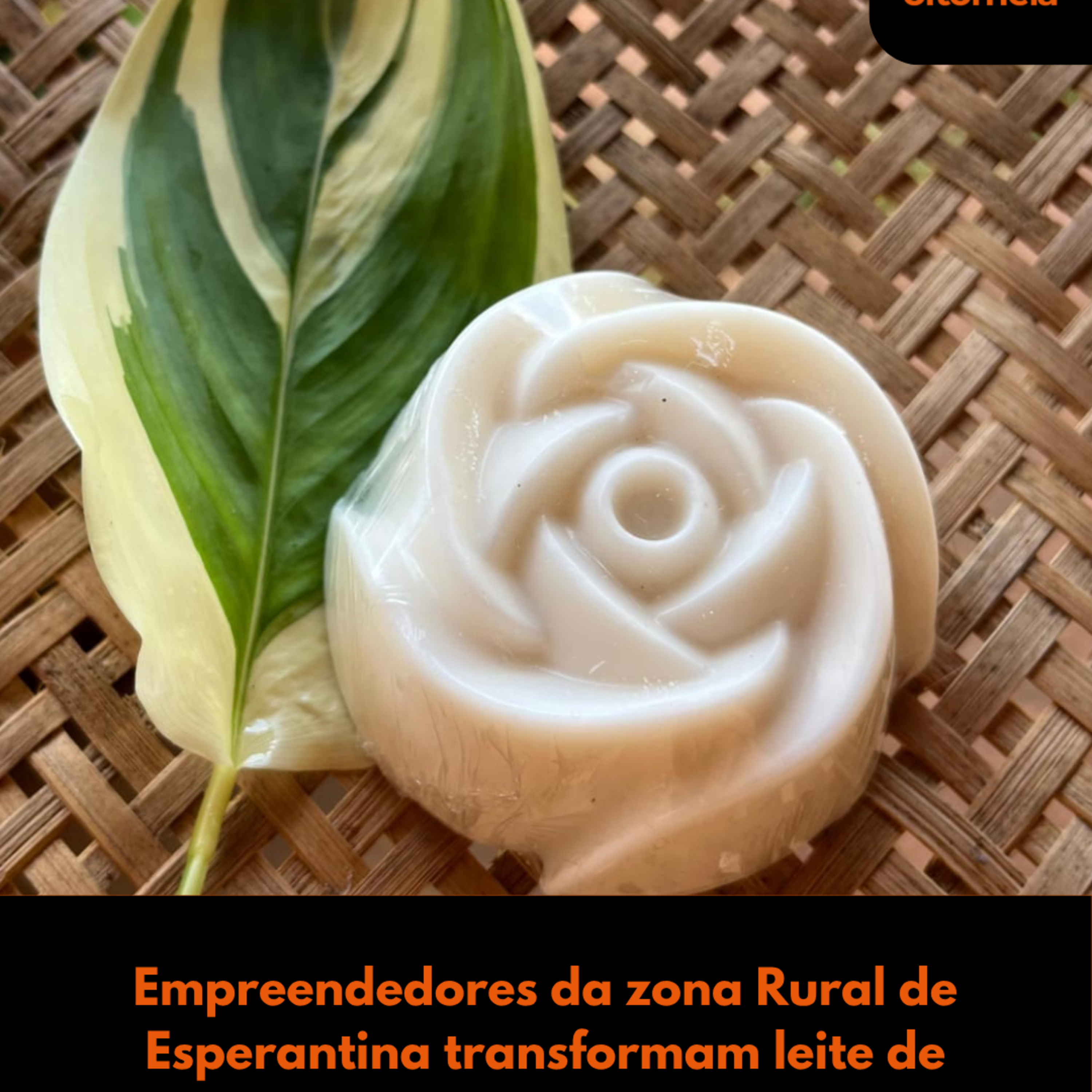 Empreendedores da zona Rural de Esperantina transformam leite de cabra em cosméticos episode artwork