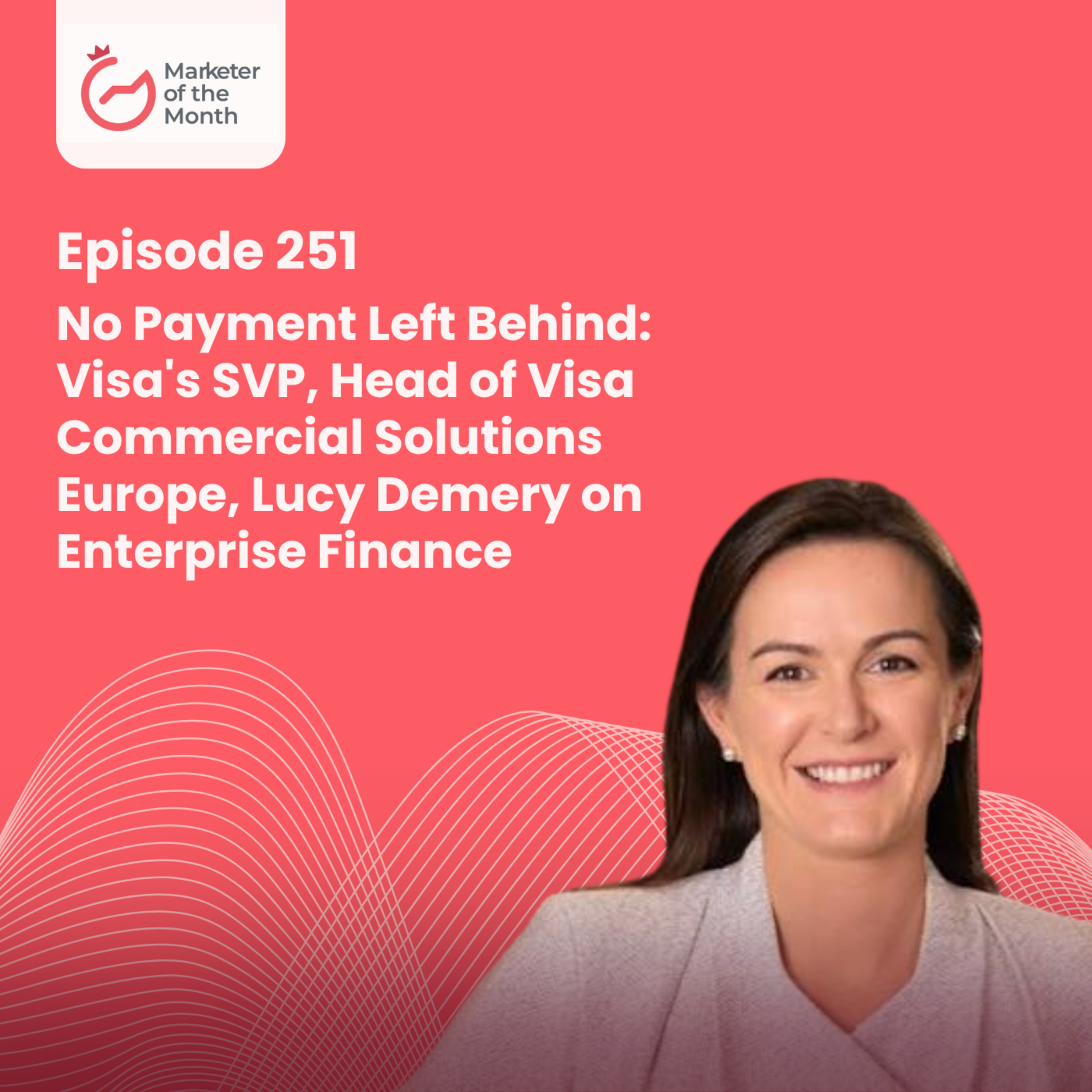 EPISODE 251- No Payment Left Behind: Visa's SVP, Head of Visa Commercial Solutions Europe, Lucy Demery on Enterprise Finance episode artwork