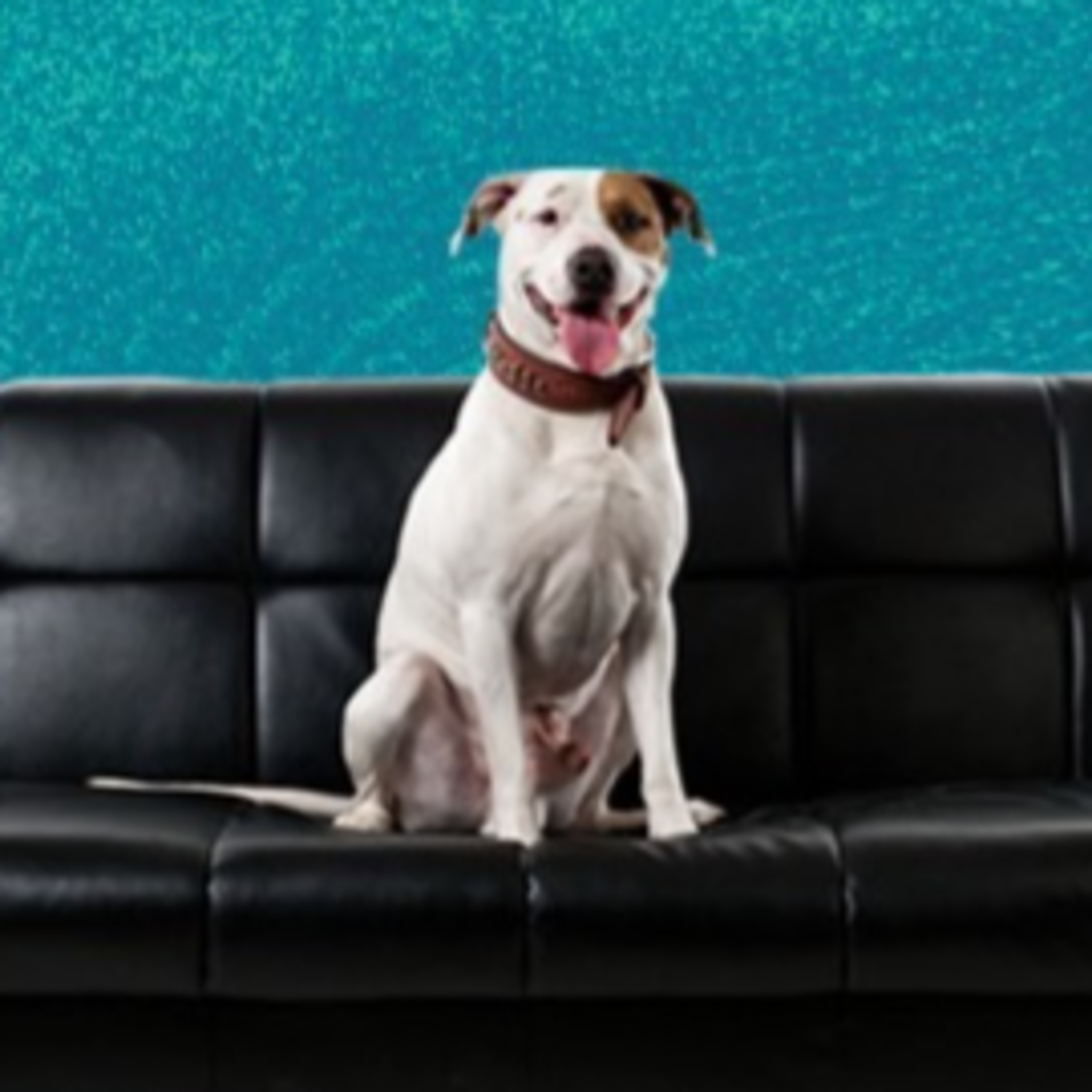 Doggy’s Saloon　転生編（#6）