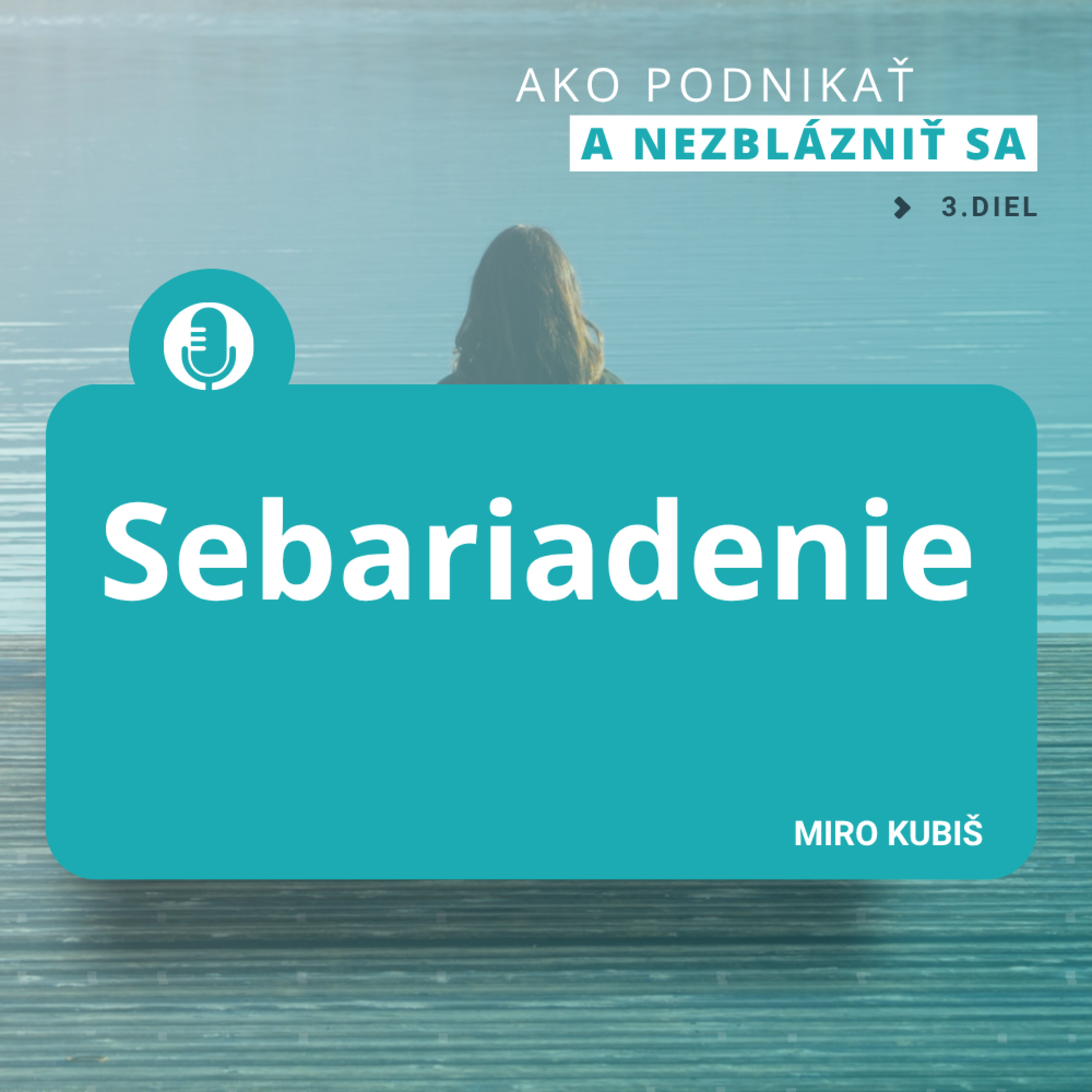 Sebariadenie: Ako sa nezblázniť pri podnikaní episode artwork