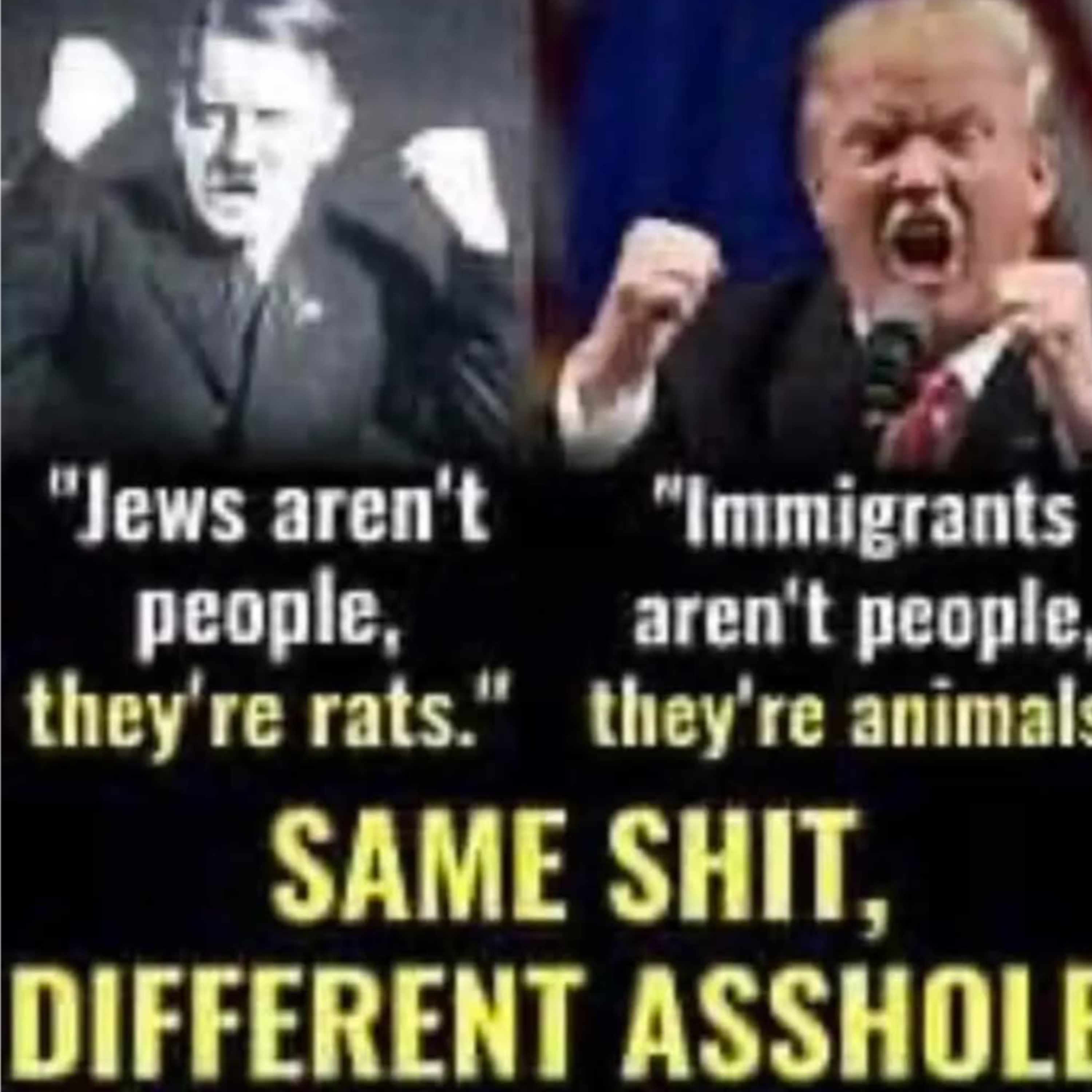 3rd world country trumps plan. Hitler the 2nd Conquer and divide