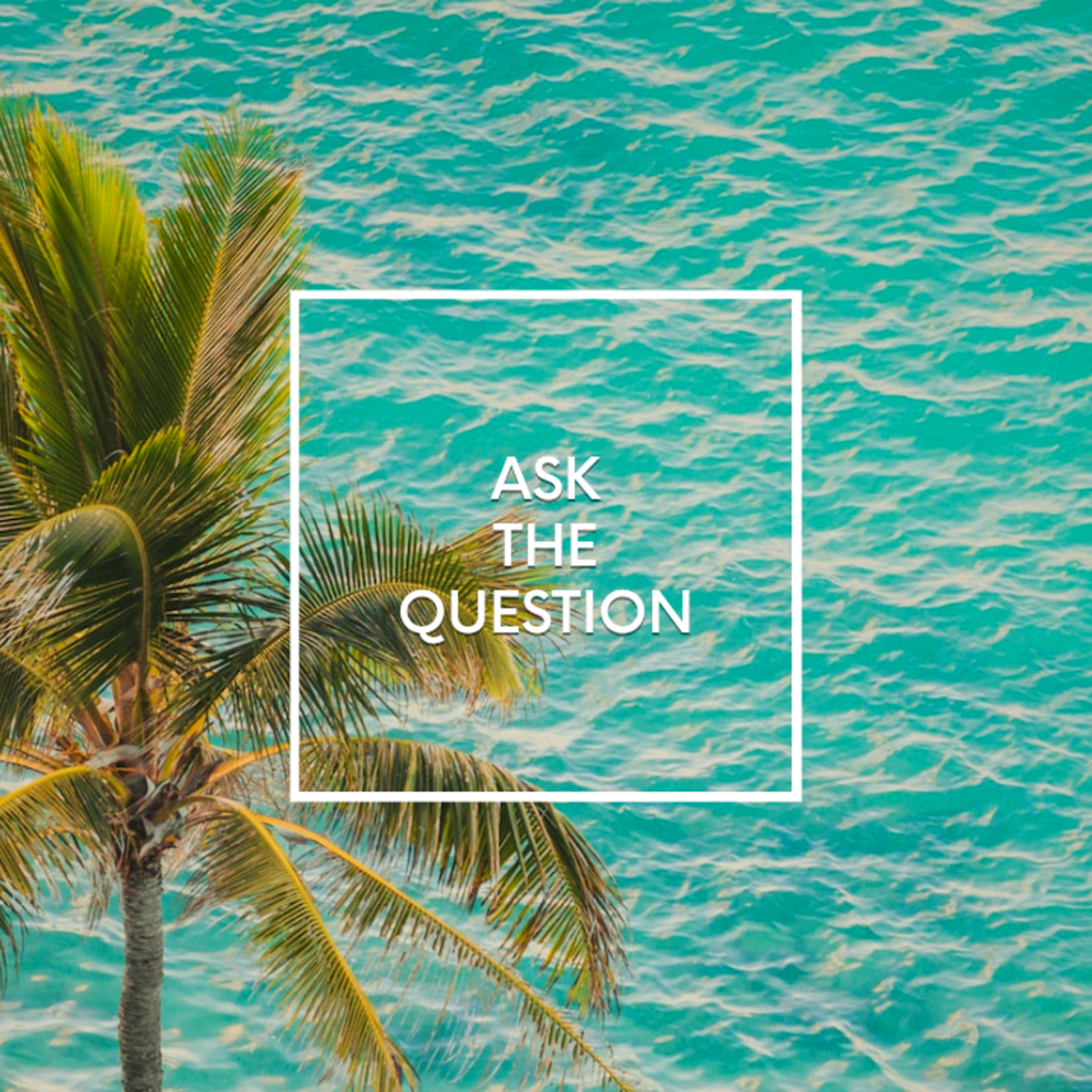 Ask the Question
