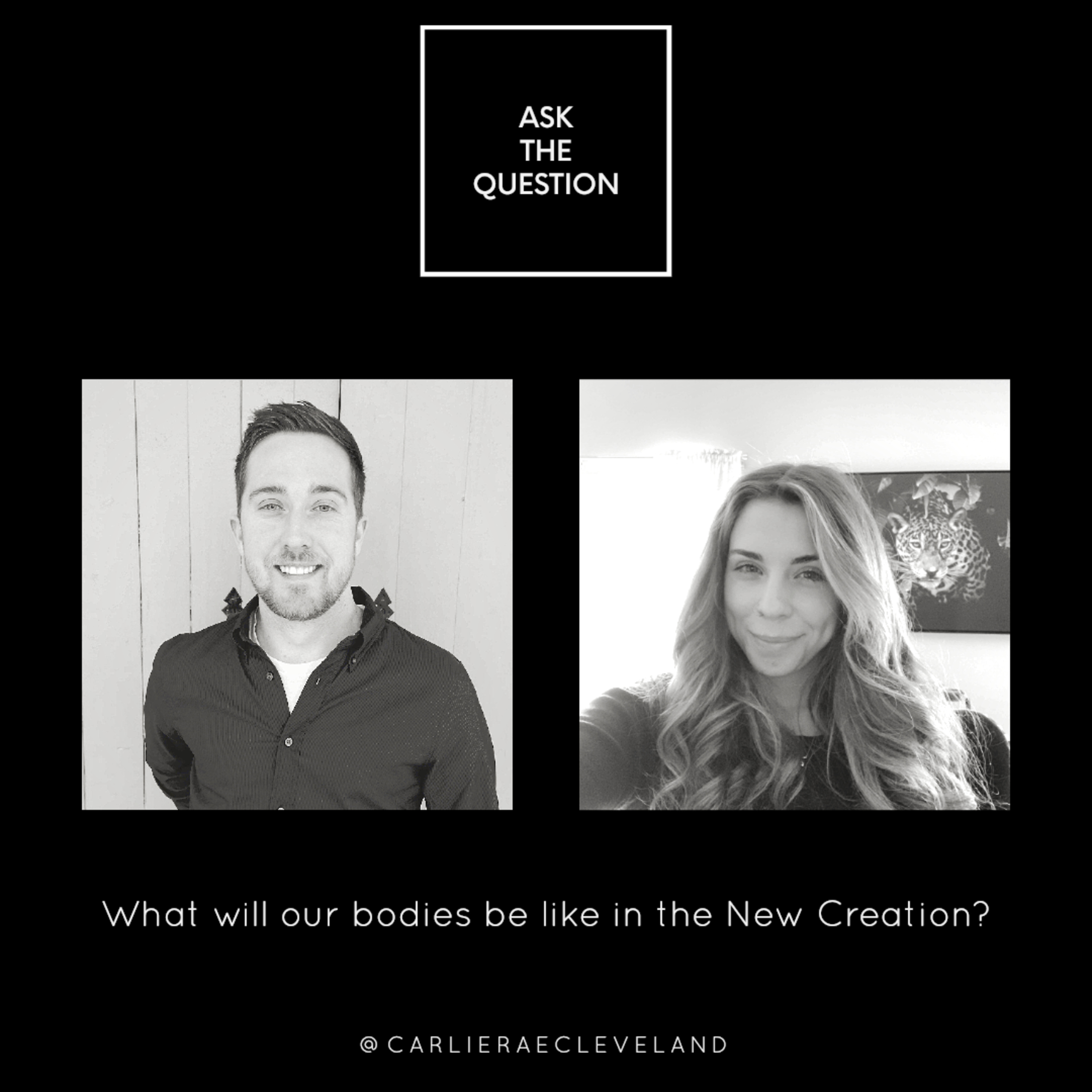 Ask the Question