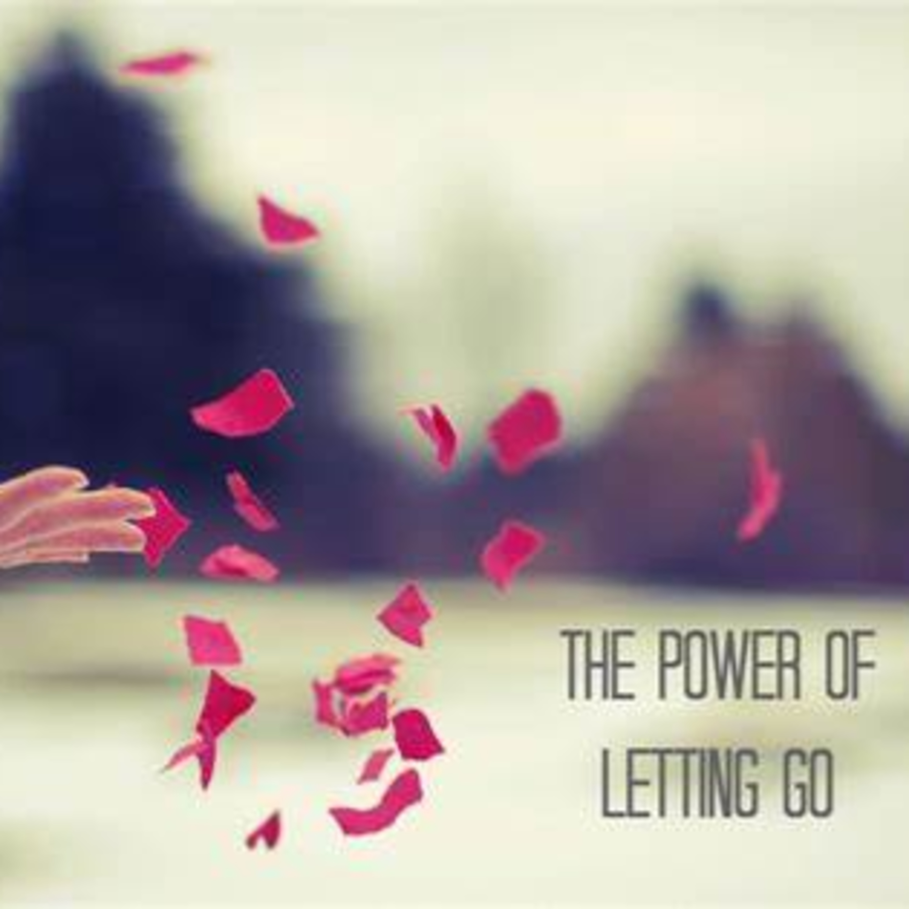 Monday Meditations 11/27
