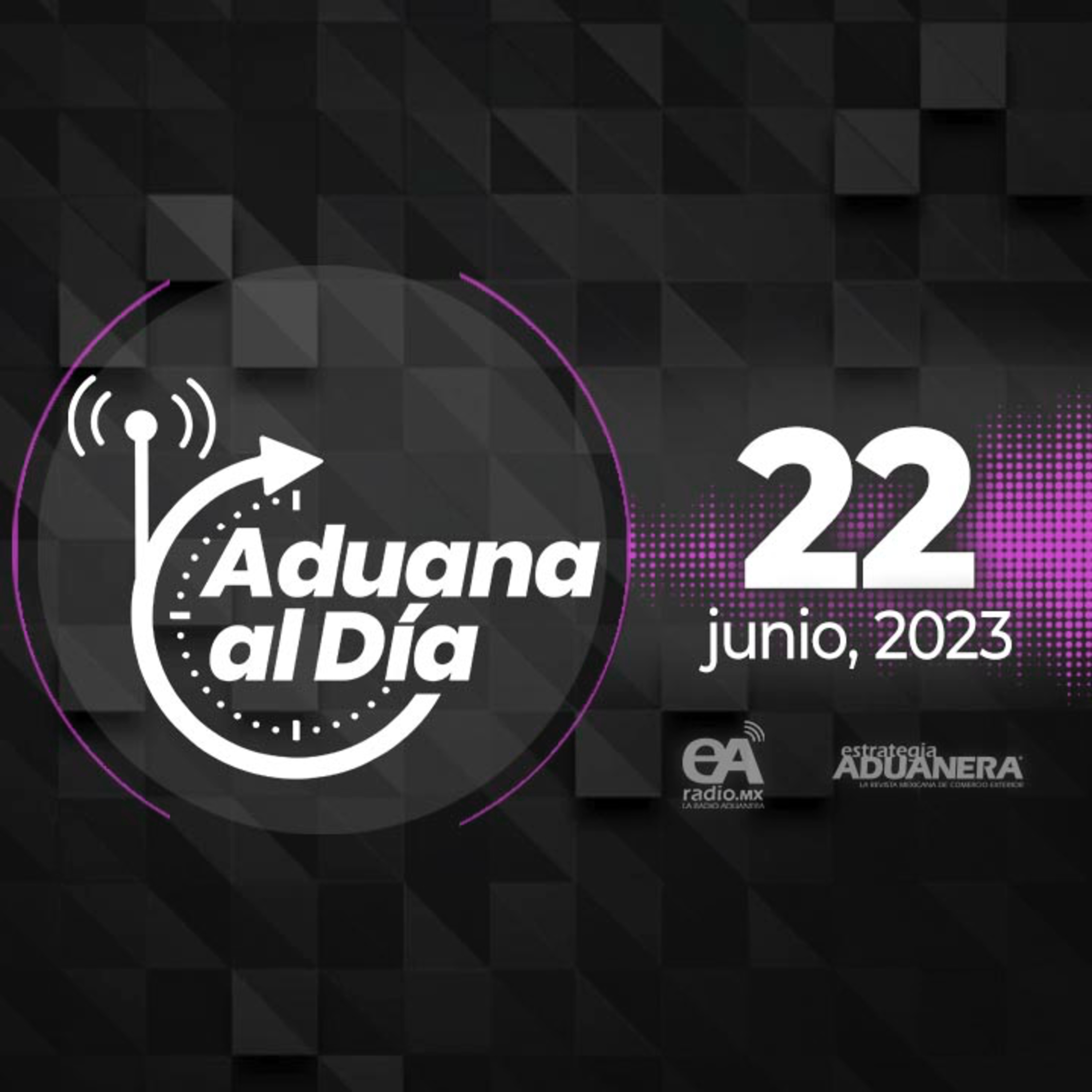 Portada de Aduana al Día