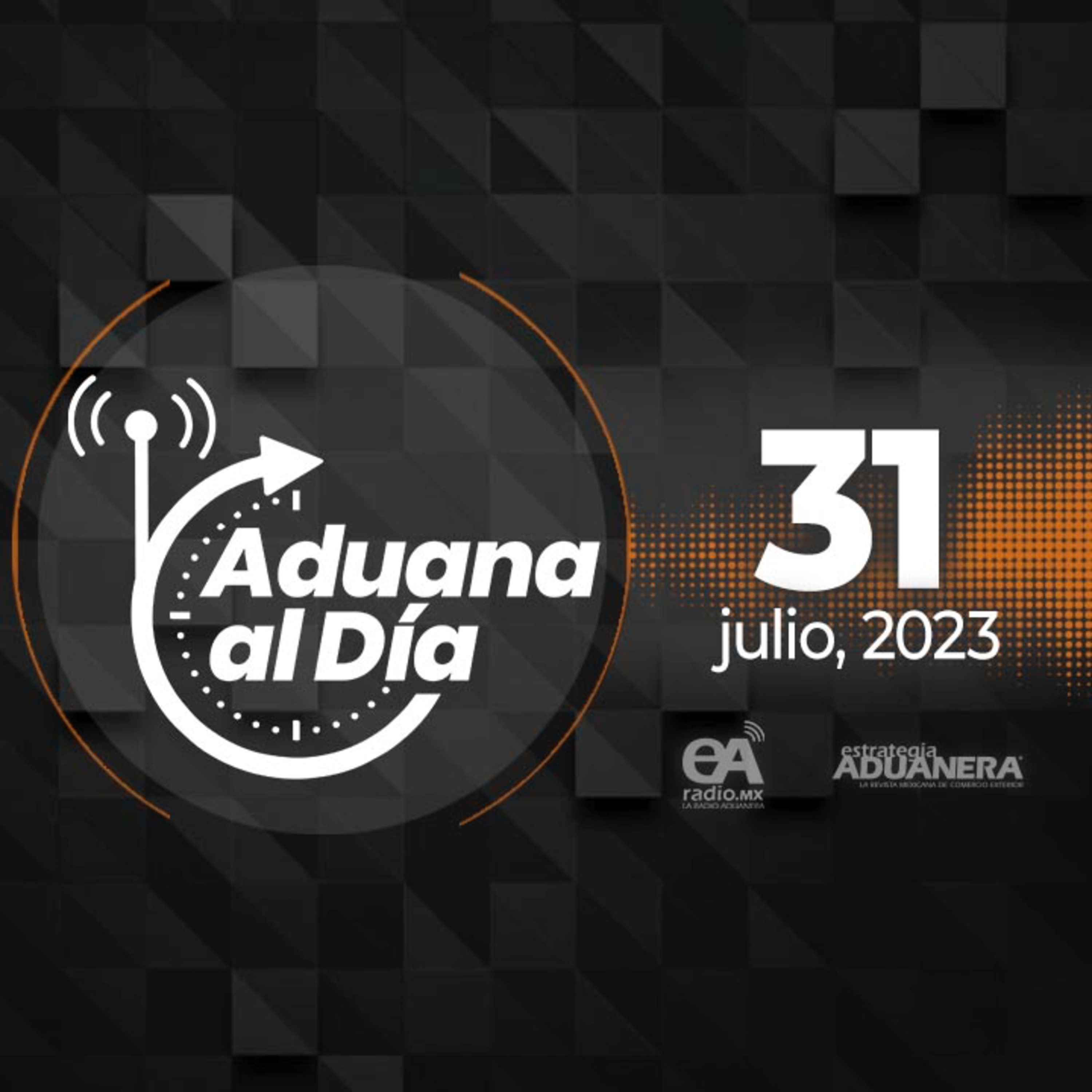 Portada de Aduana al Día