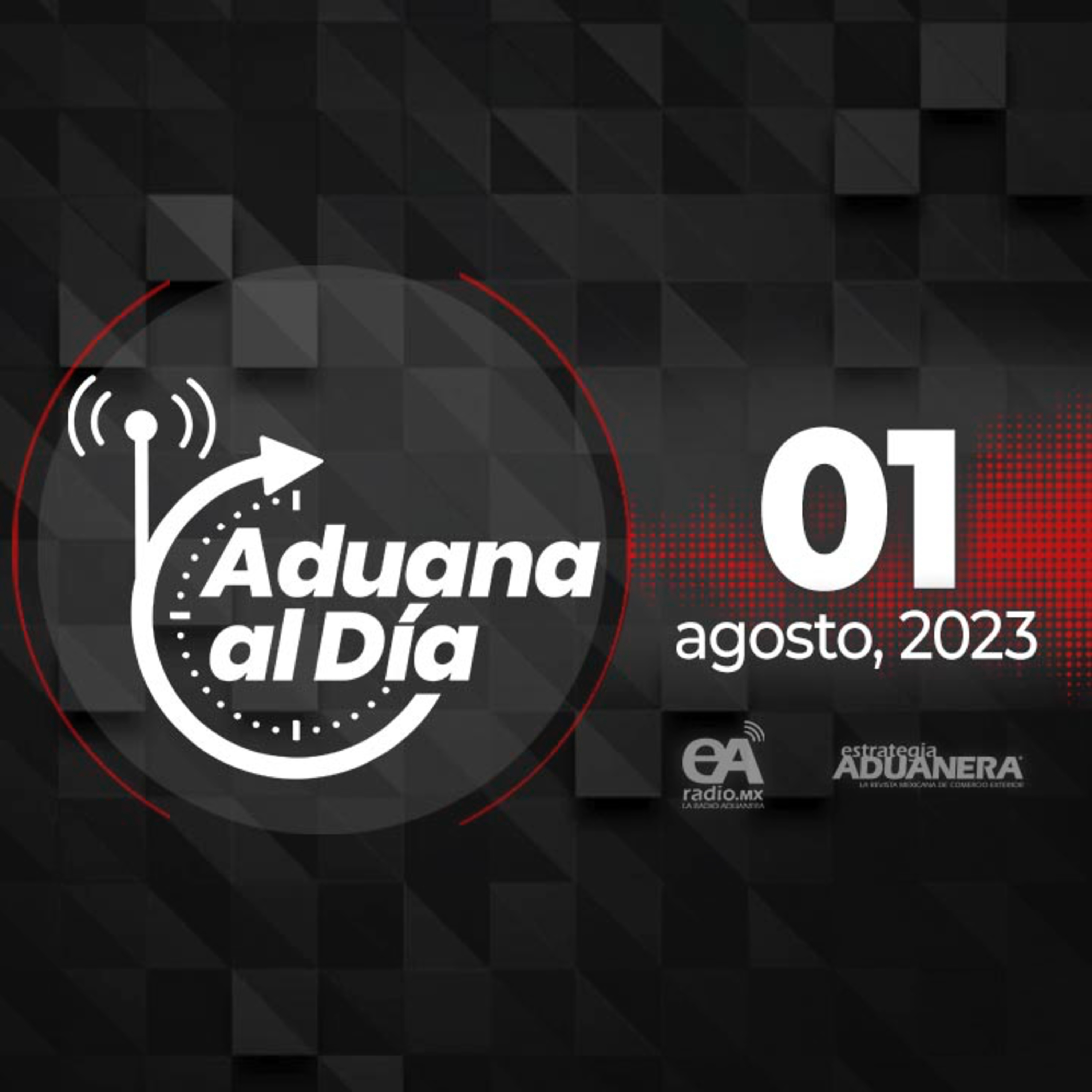 Portada de Aduana al Día