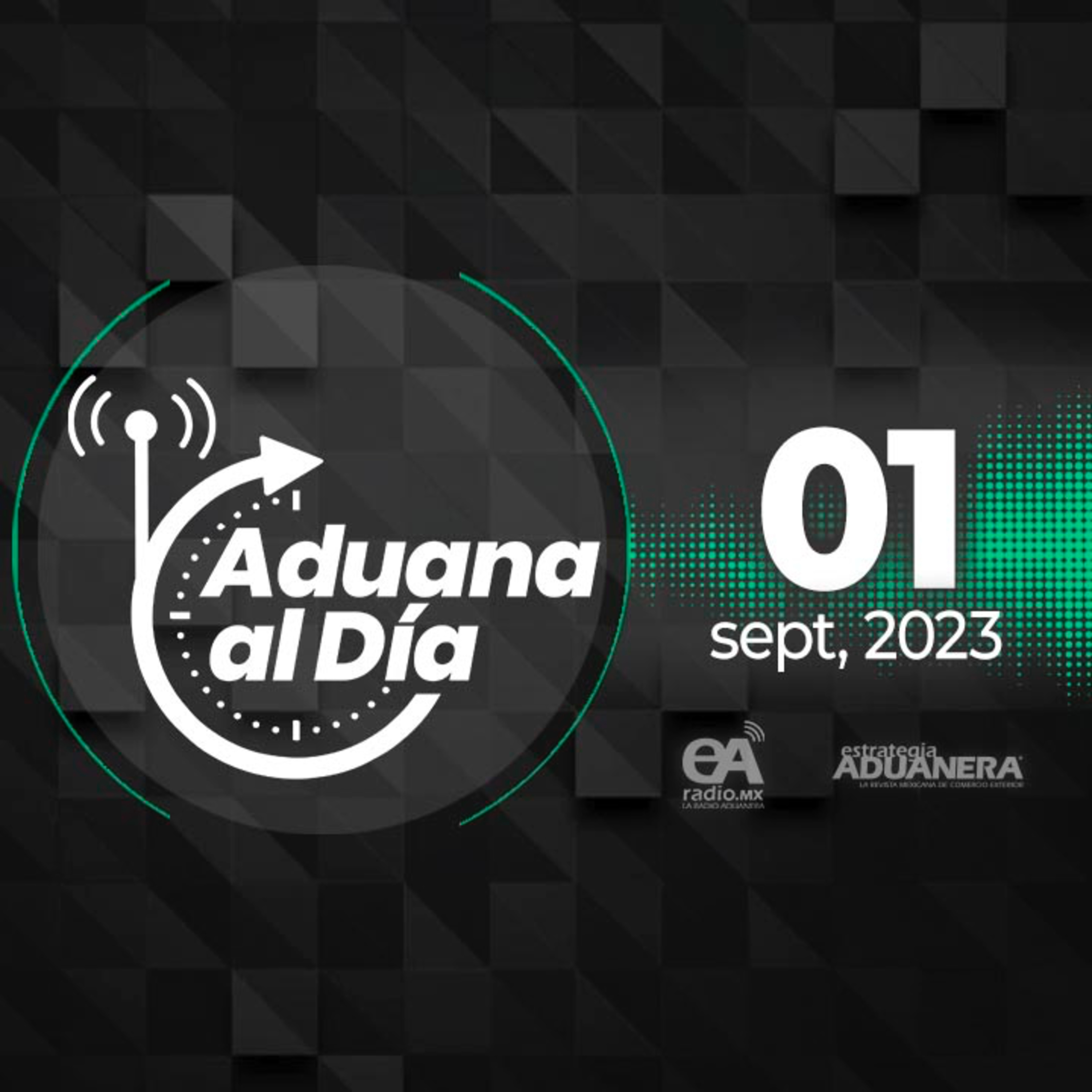 Portada de Aduana al Día