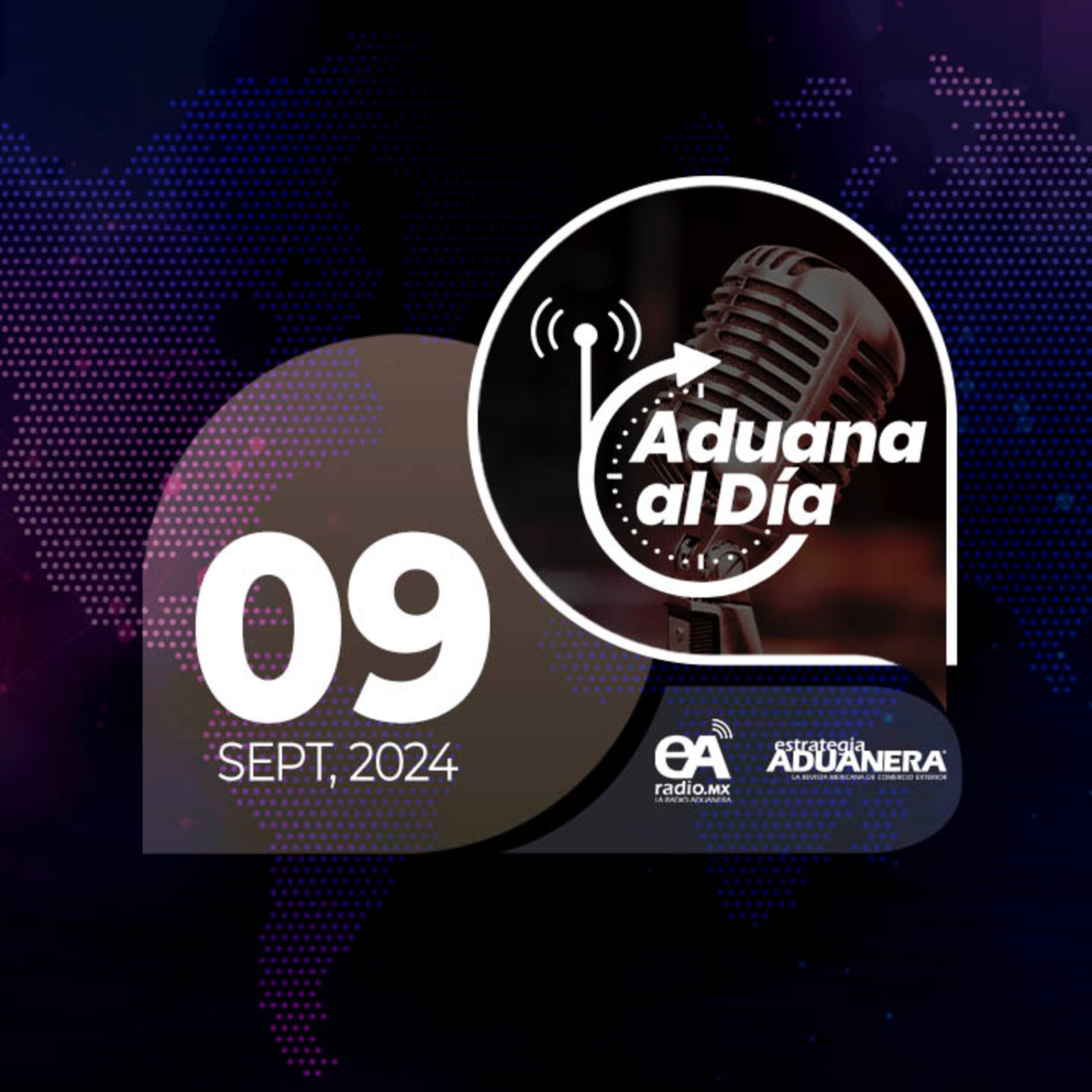 Aduana al Día