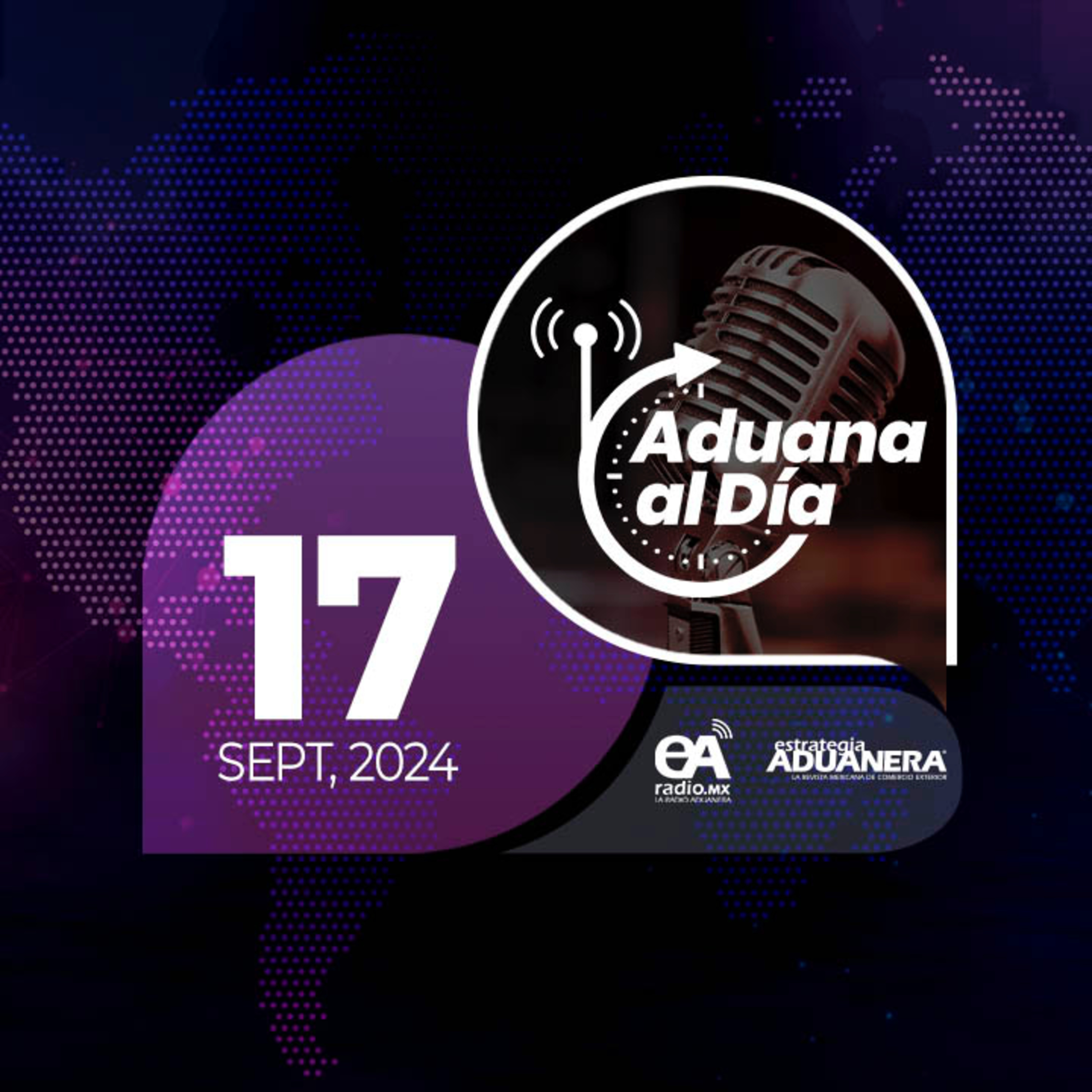 Aduana al Día