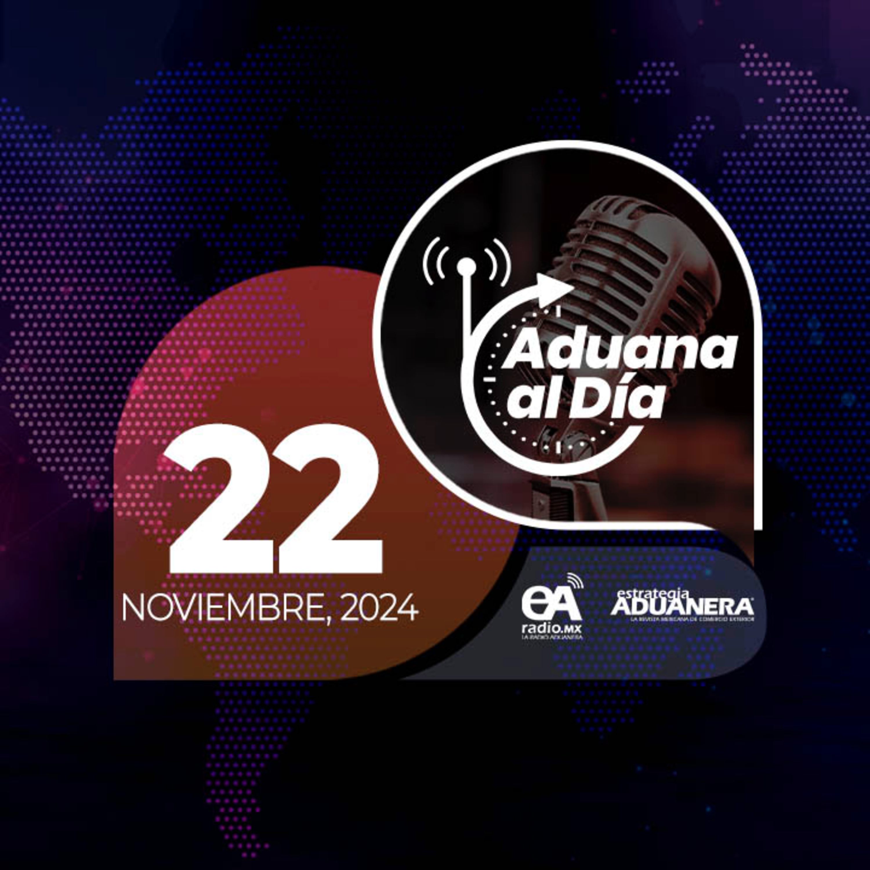Aduana al Día