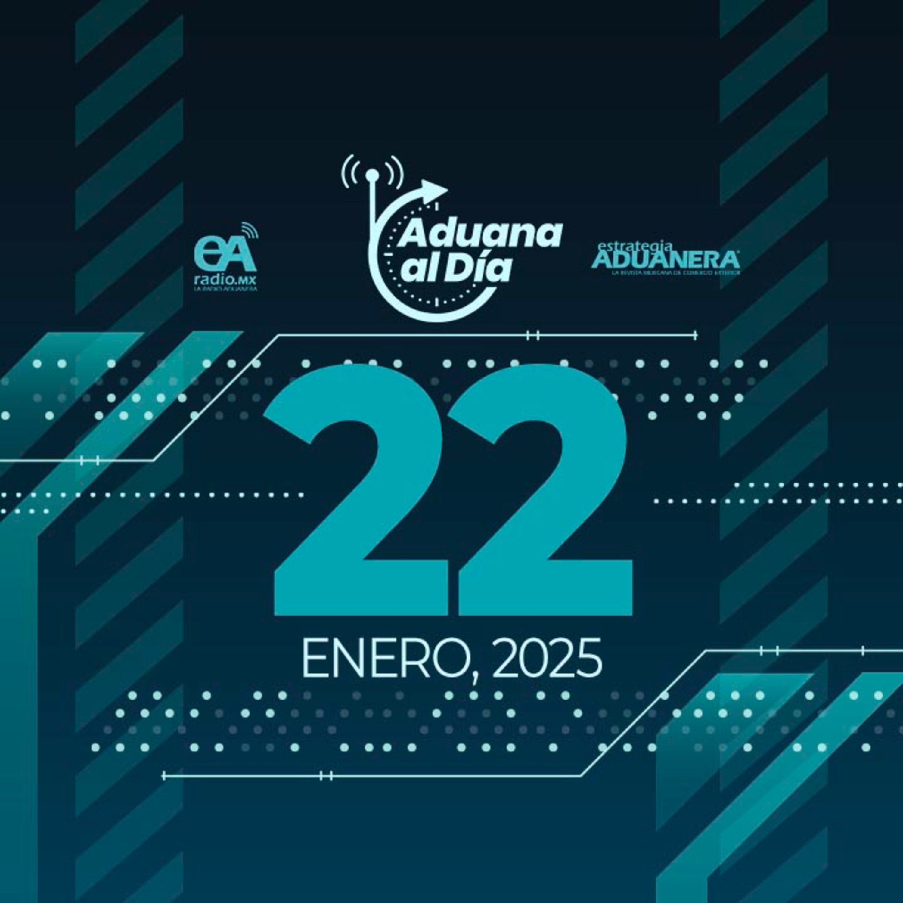 Aduana al Día