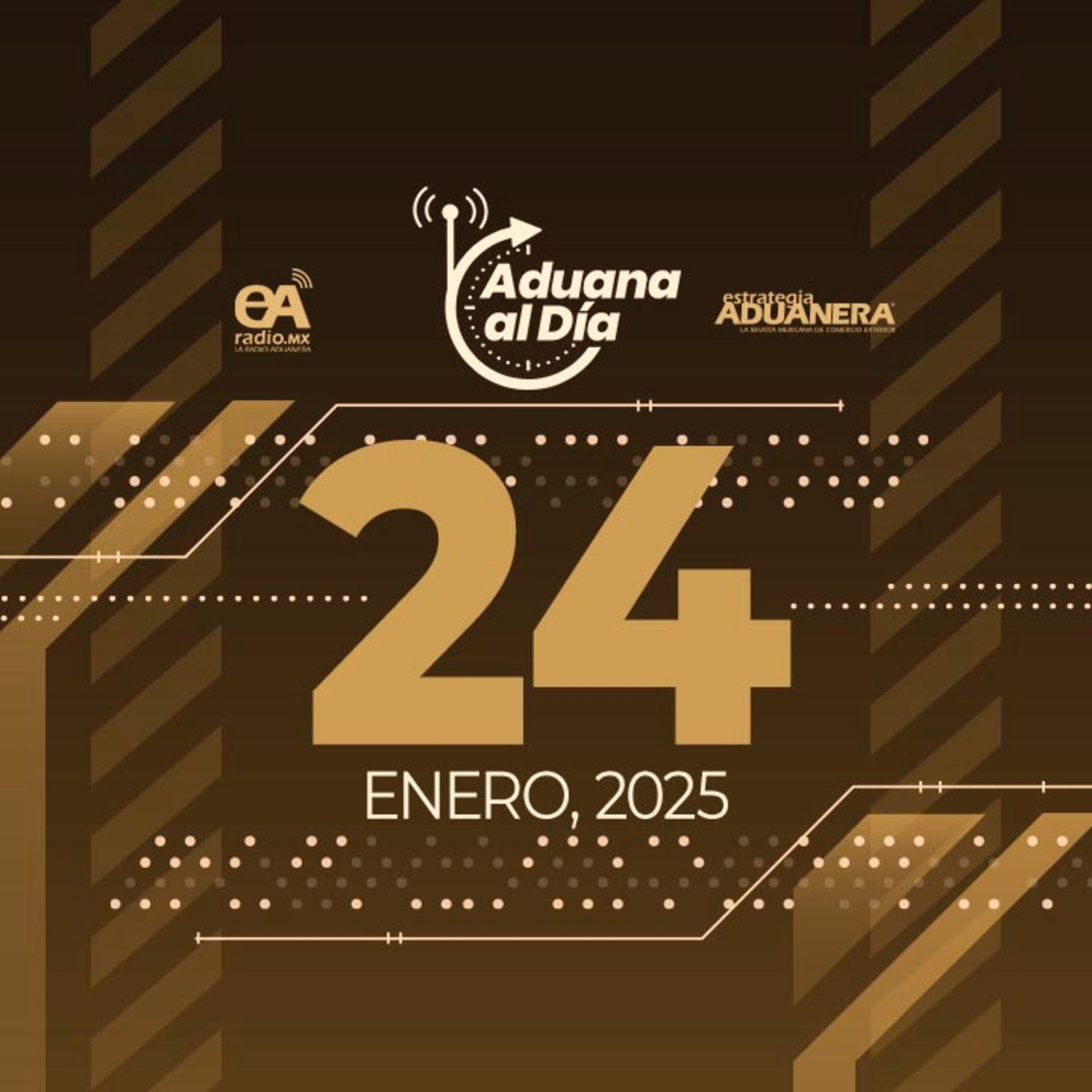 Aduana al Día