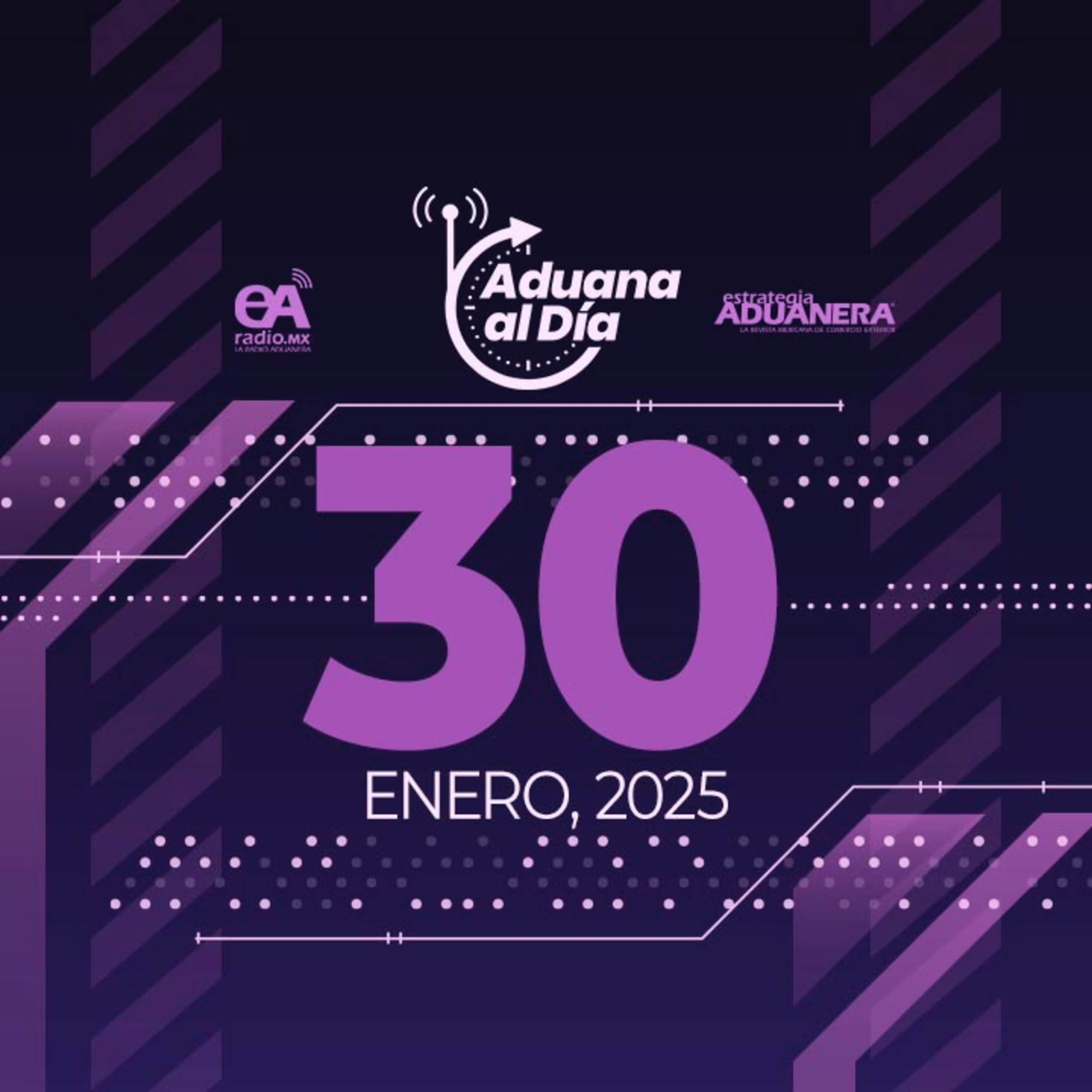 Aduana al Día