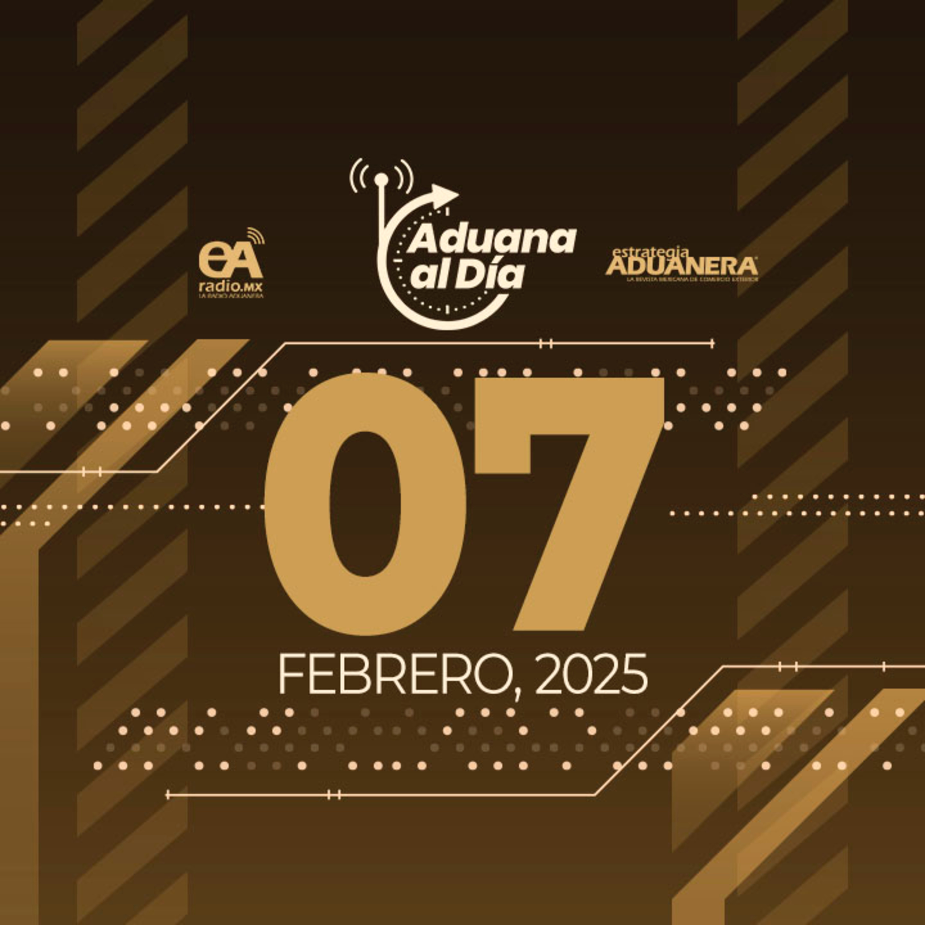 Aduana al Día