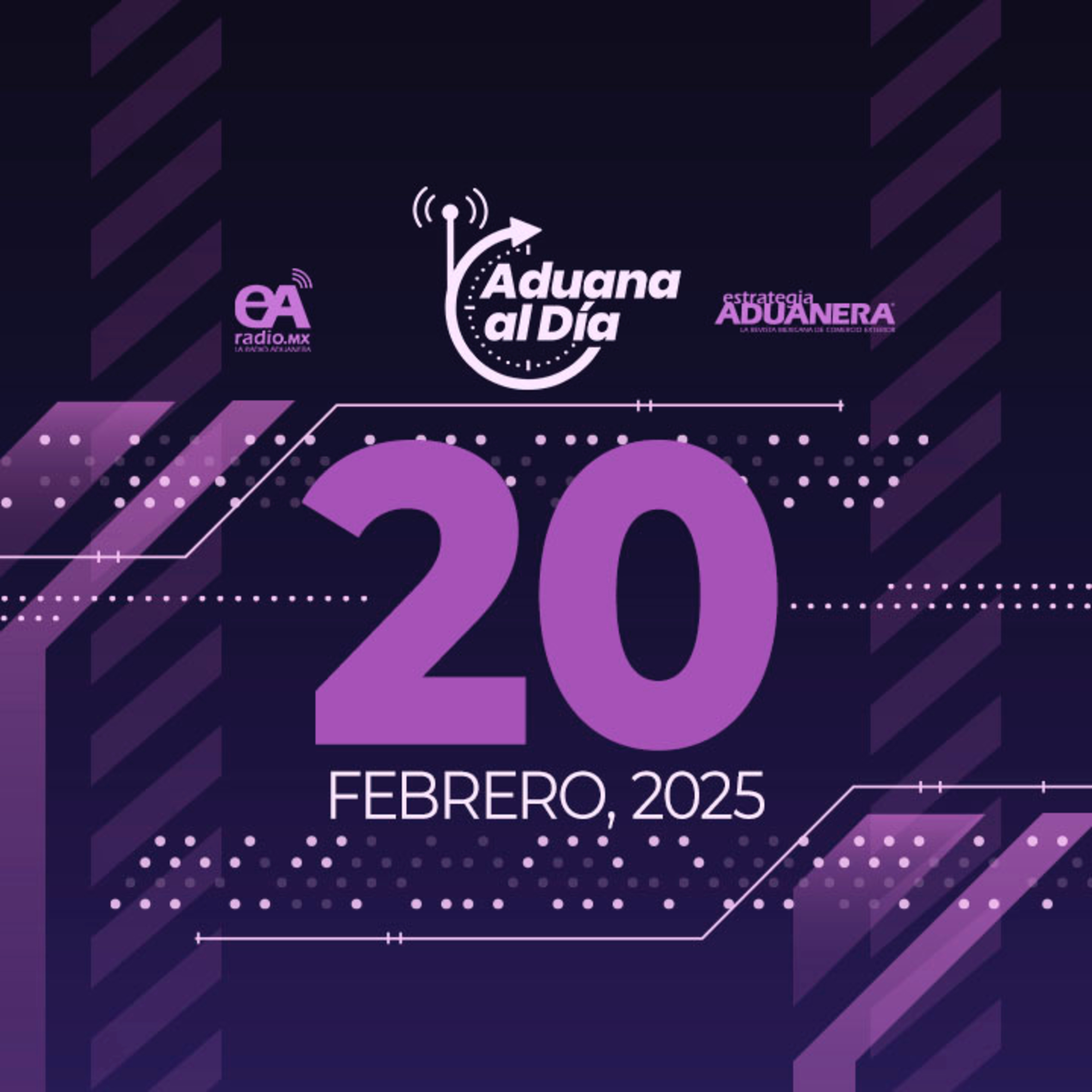 Aduana al Día
