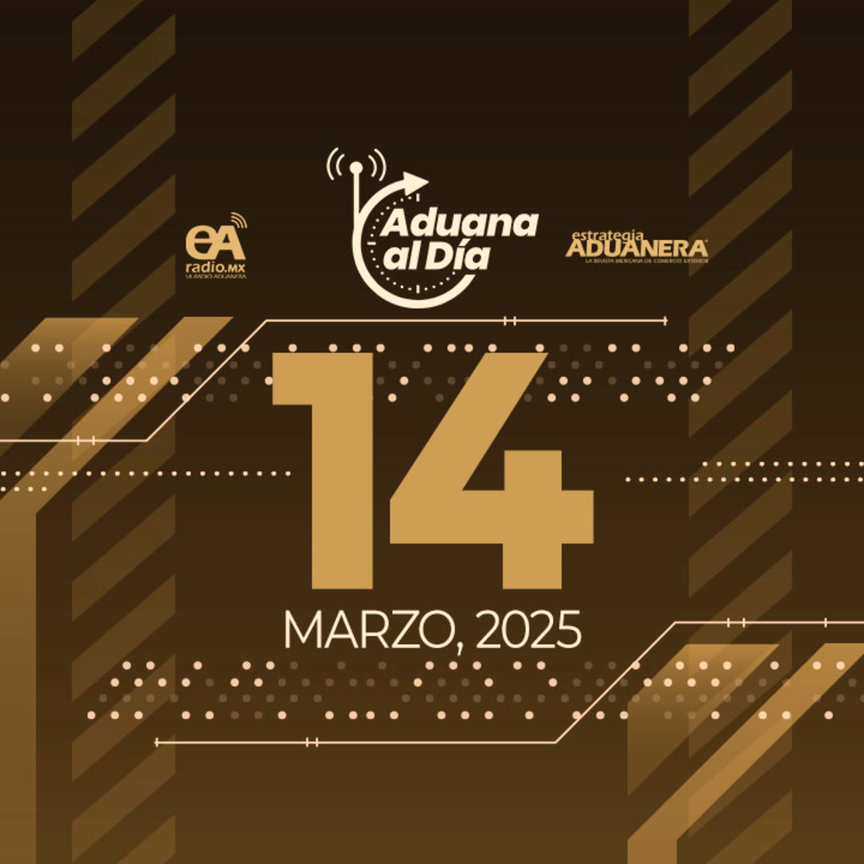 Aduana al Día