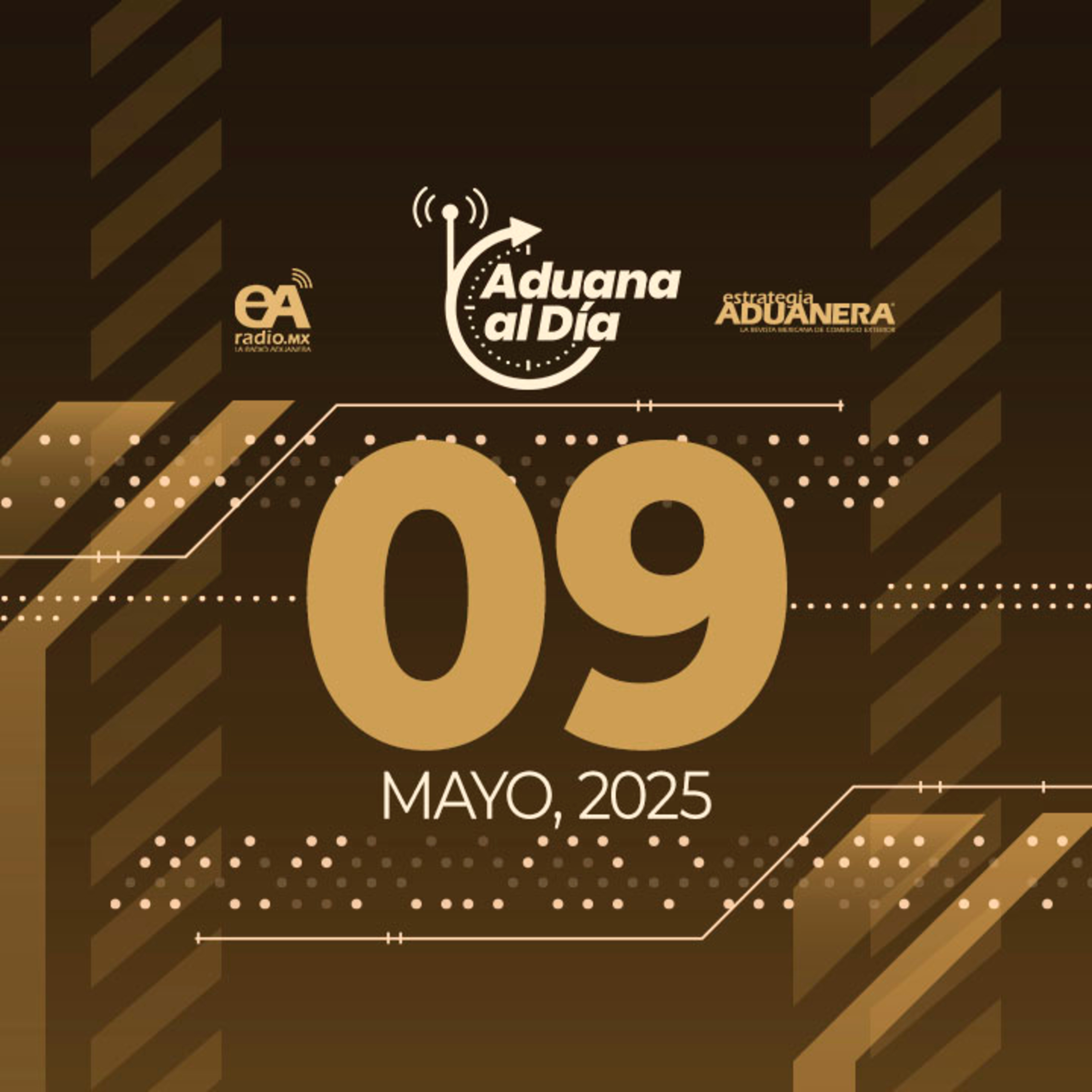 Aduana al Día