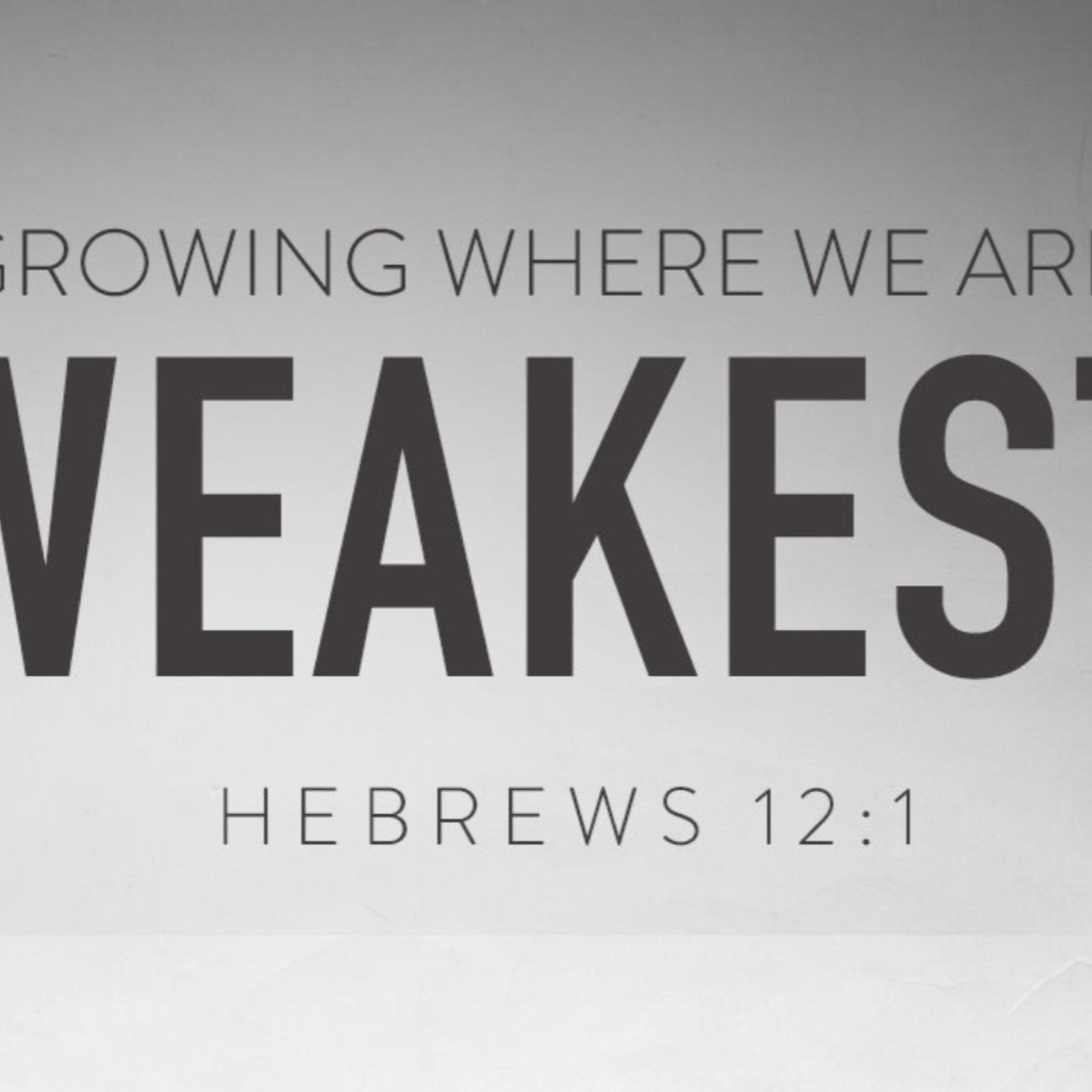 "Growing Where We Are Weakest- The Chastening of God" 8/10/25 AM episode artwork