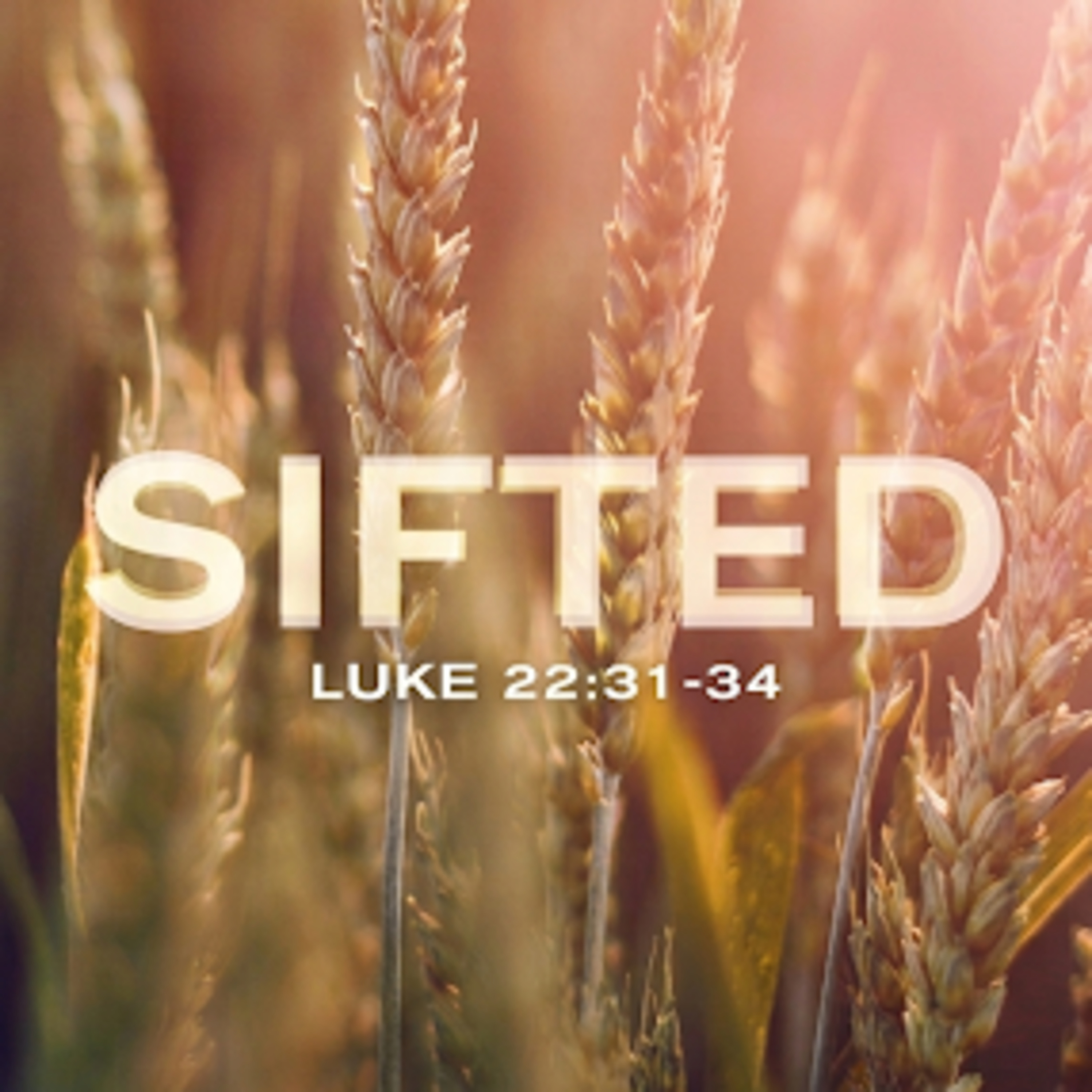 "Sifted- Part I" 7/12/26 AM episode artwork