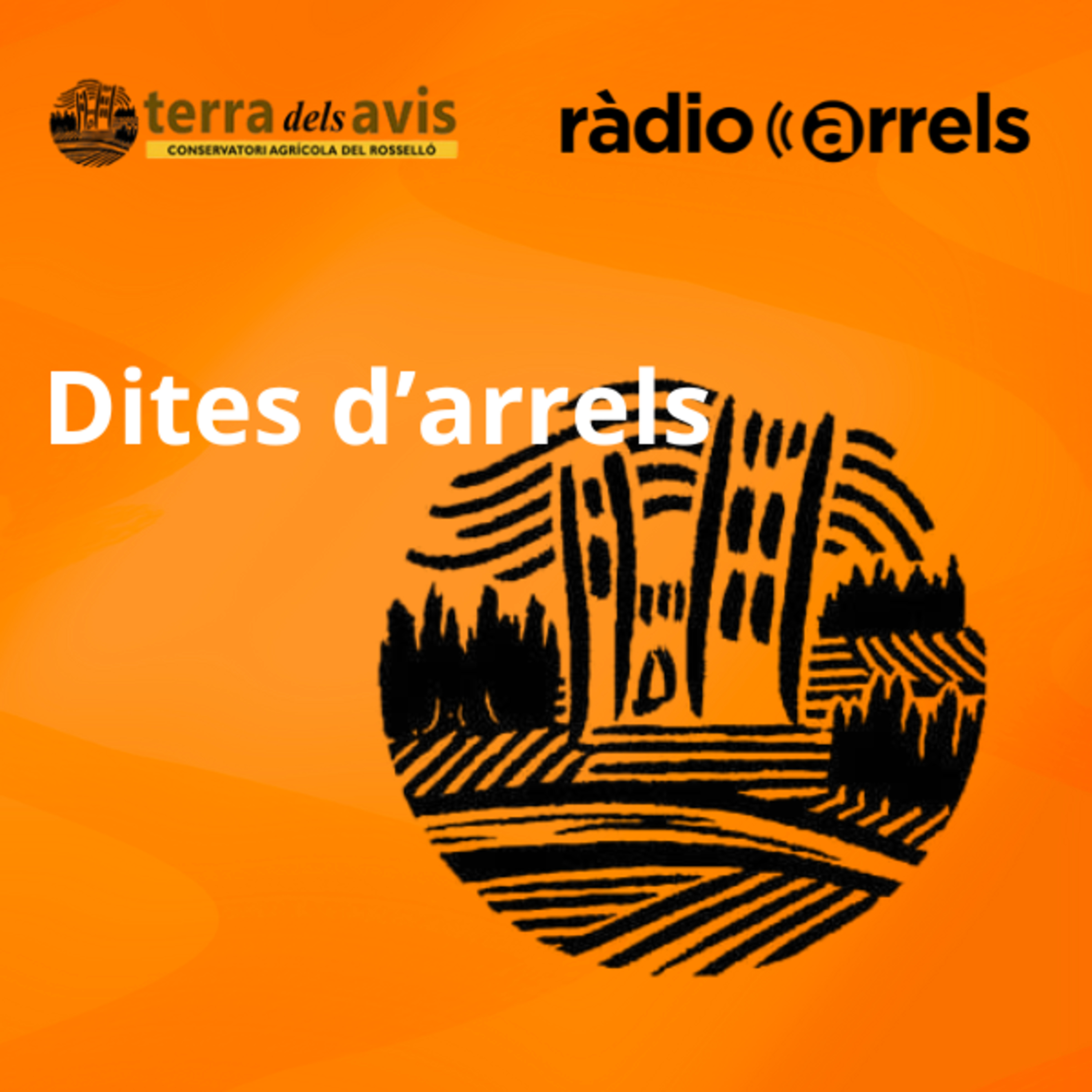 Dites d'Arrels - Tard hi vaig, poc hi faig, d'hora me'n torno