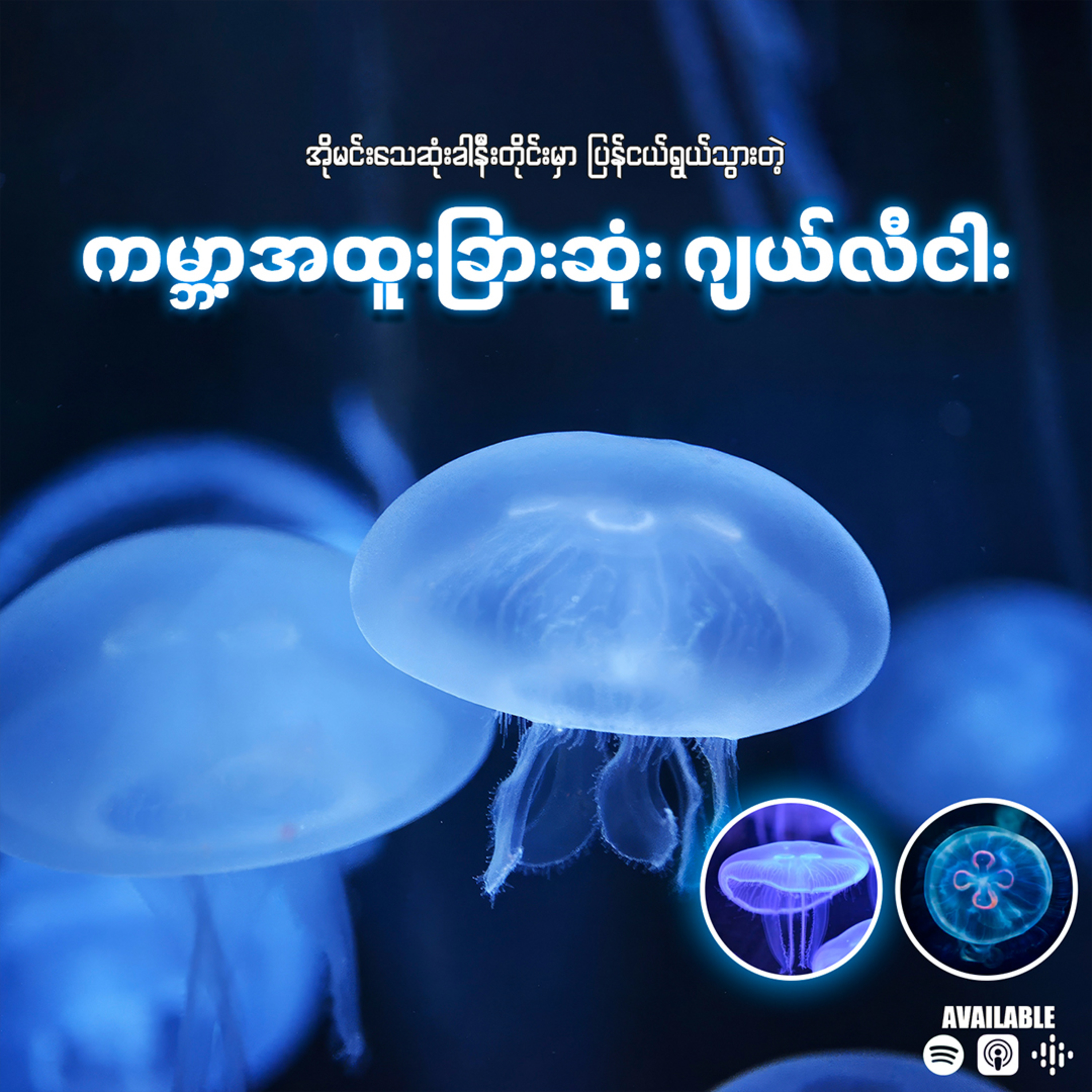 "ထာဝရရှင်သန်နိုင်တဲ့ ဂျယ်လီငါး - The Immortal Jellyfish"