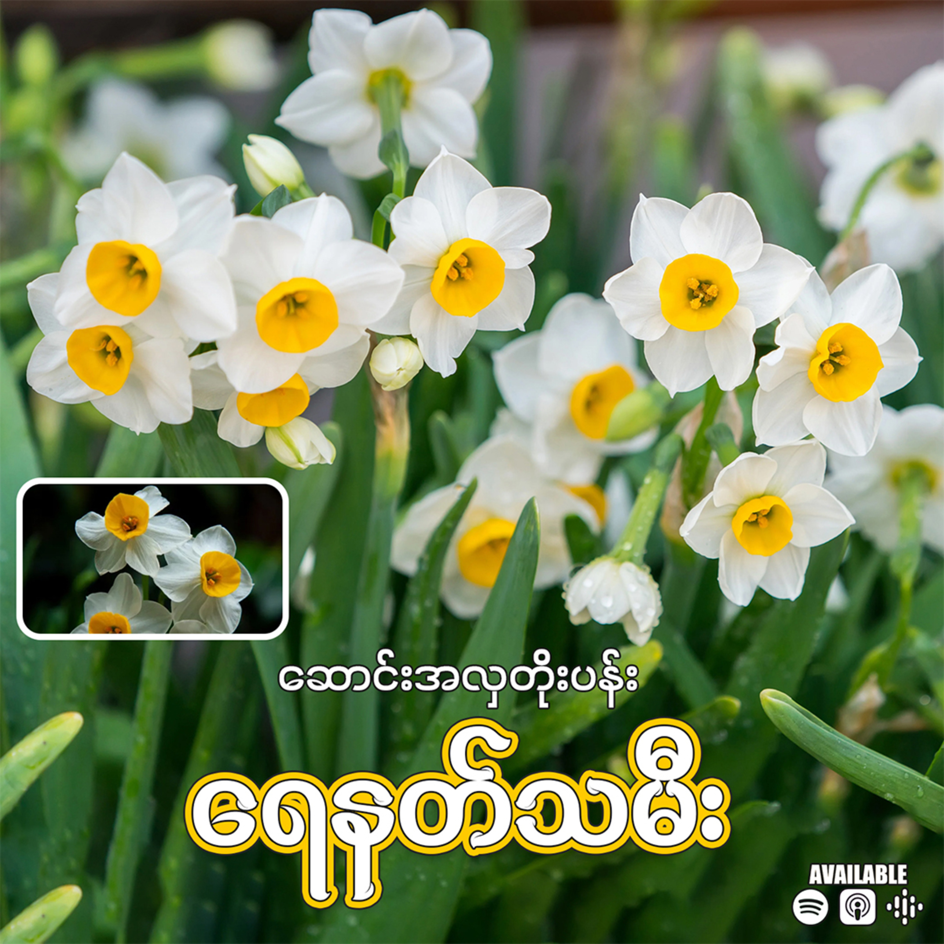 "ဆောင်းအလှတိုးပန်း ရေနတ်သမီး"