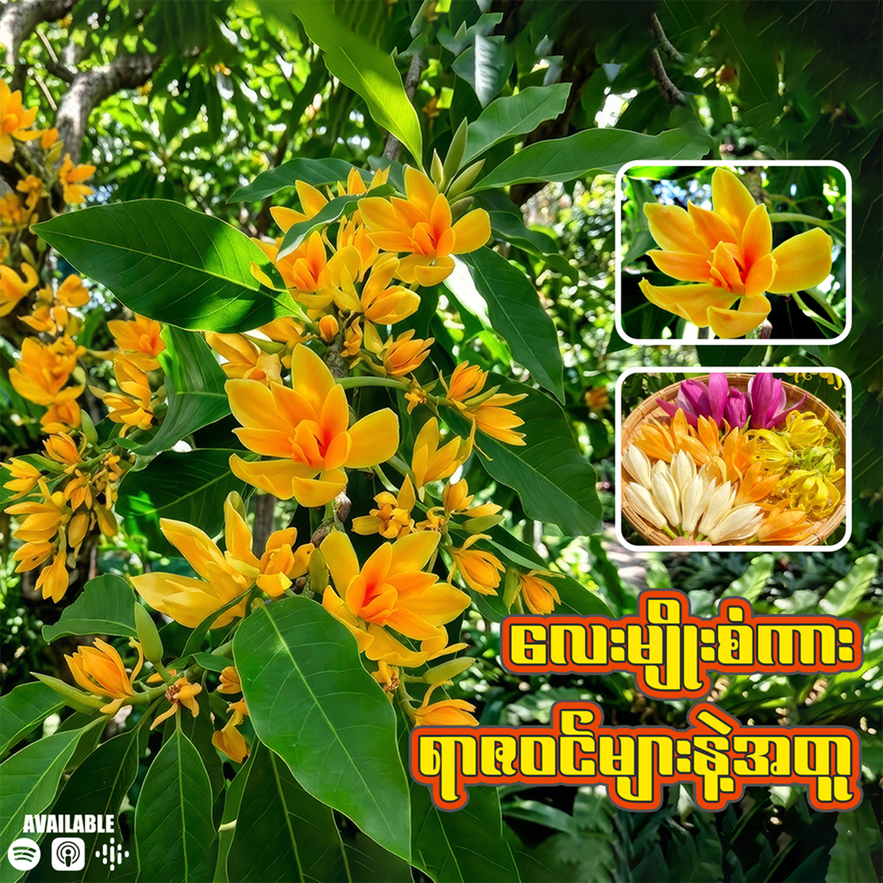 လေးမျိုးစံကား ရာဇဝင်များနဲ့အတူ