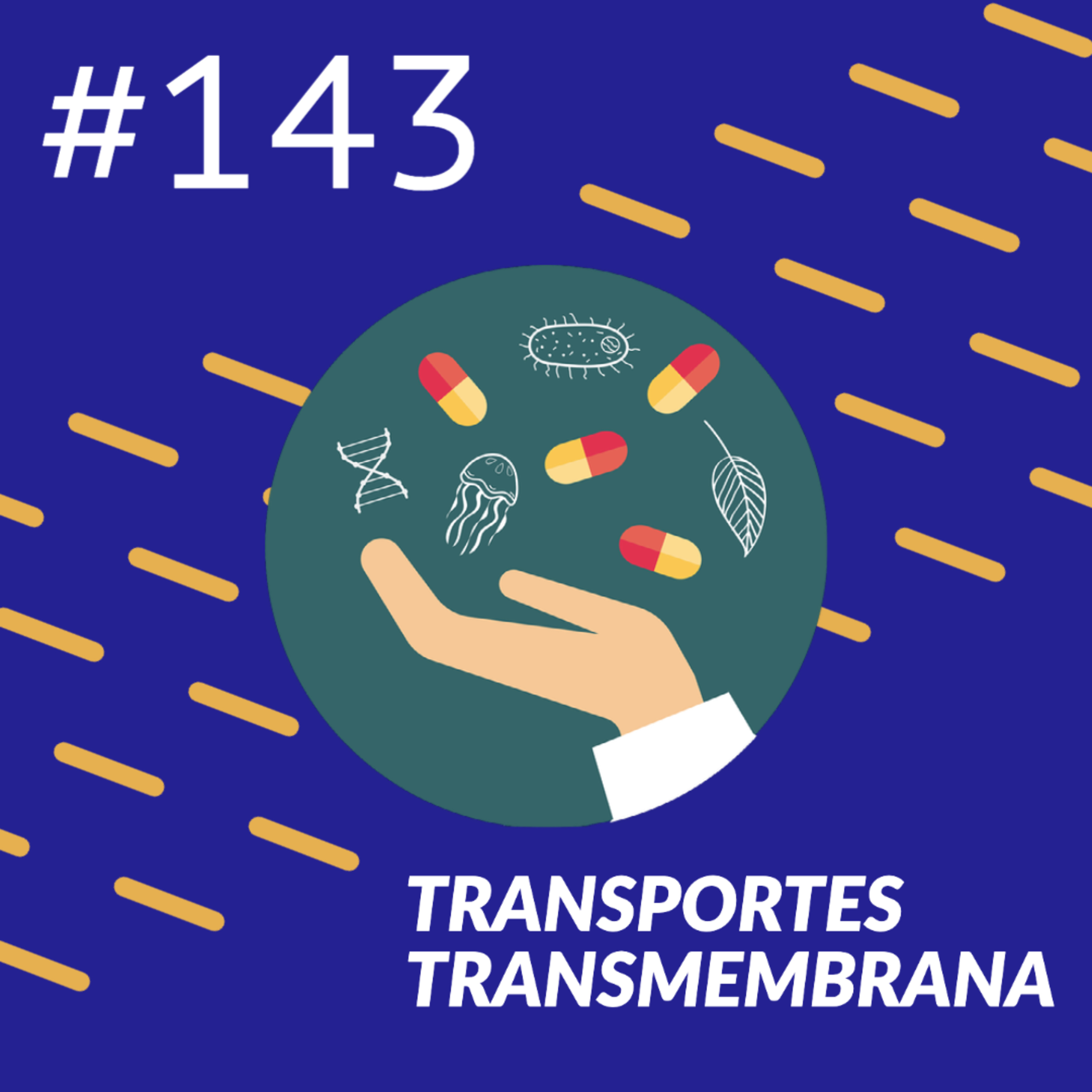 Transportes Transmembrana episode artwork