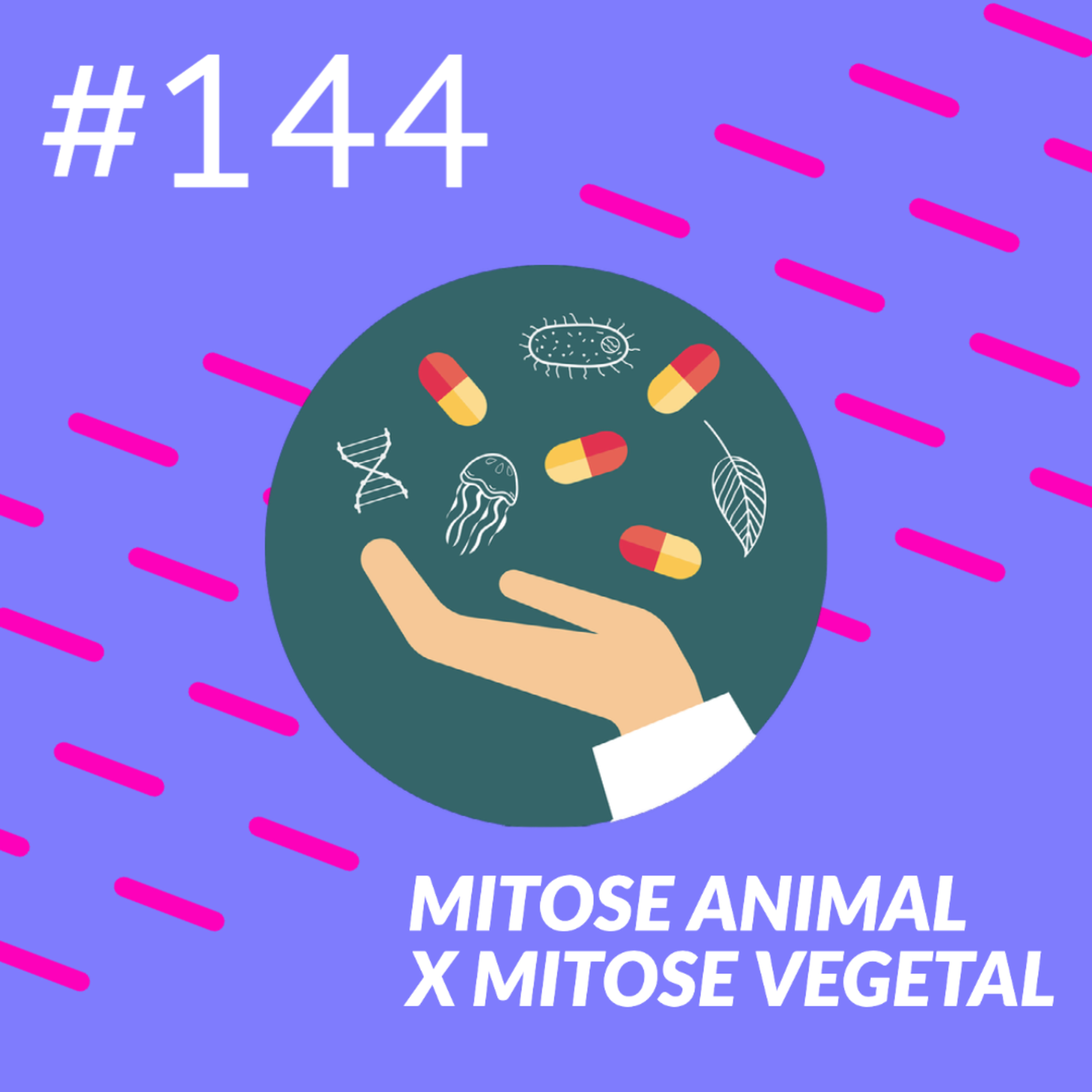 Mitose animal X Mitose vegetal episode artwork